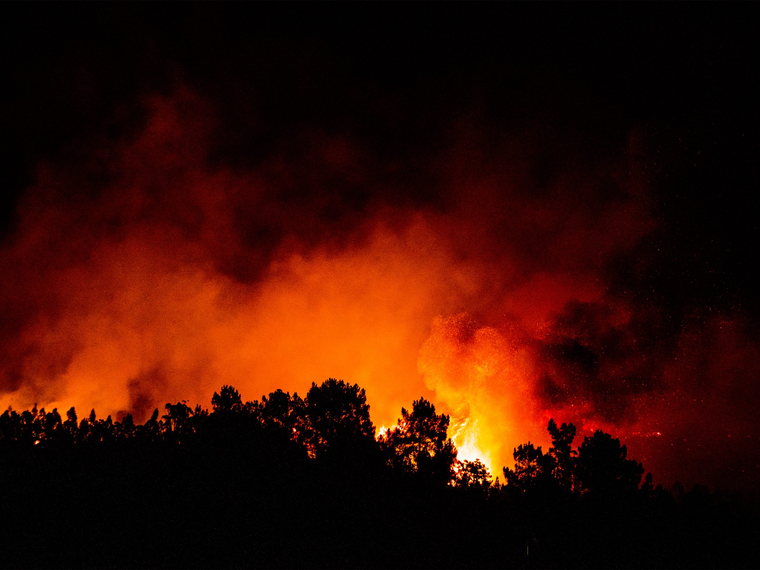 Incêndios: Mação pede estatuto de calamidade pública ao Governo