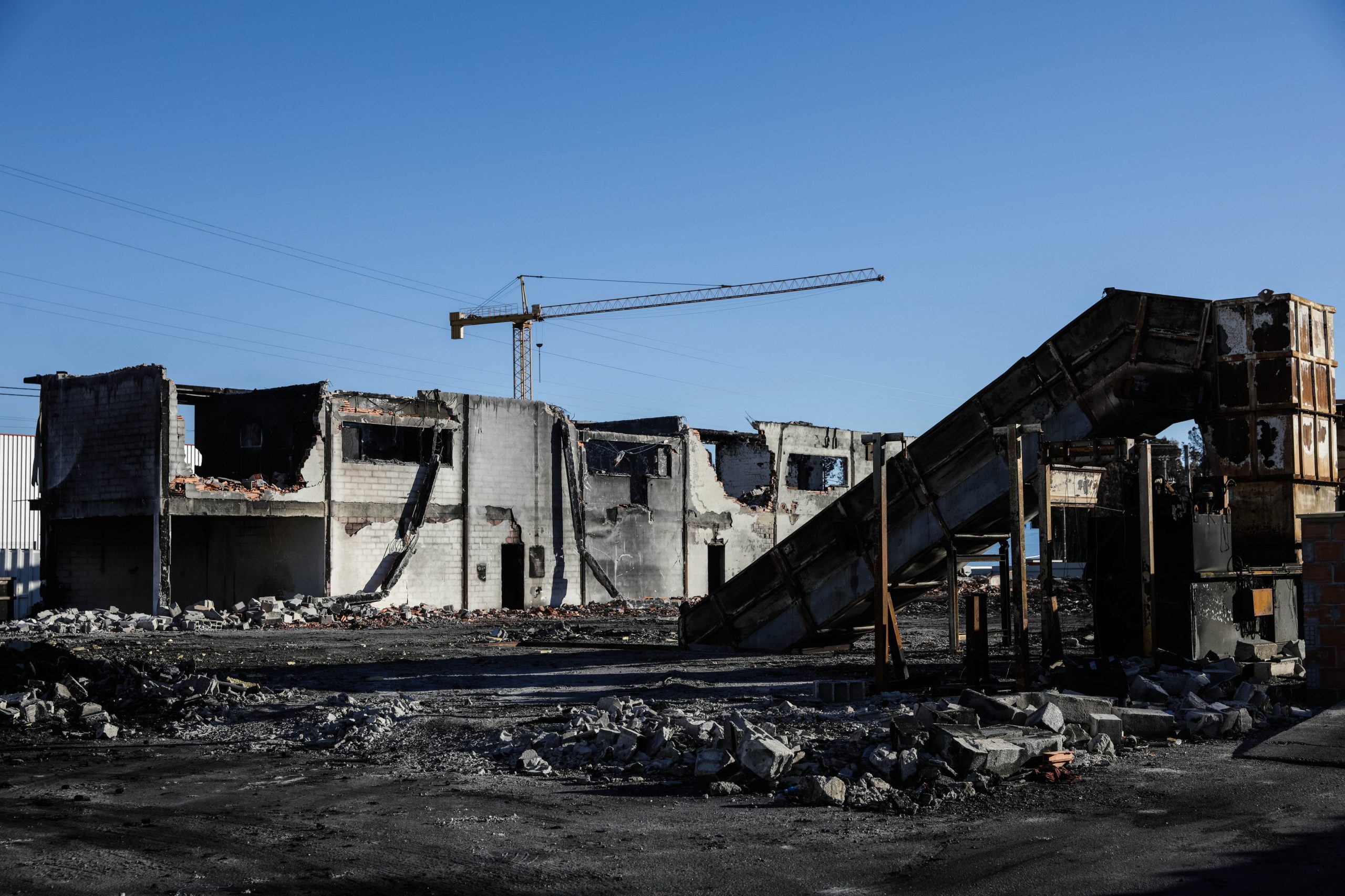 Incêndios: Cinzas não desmotivaram empresários de Oliveira de Frades e Tondela