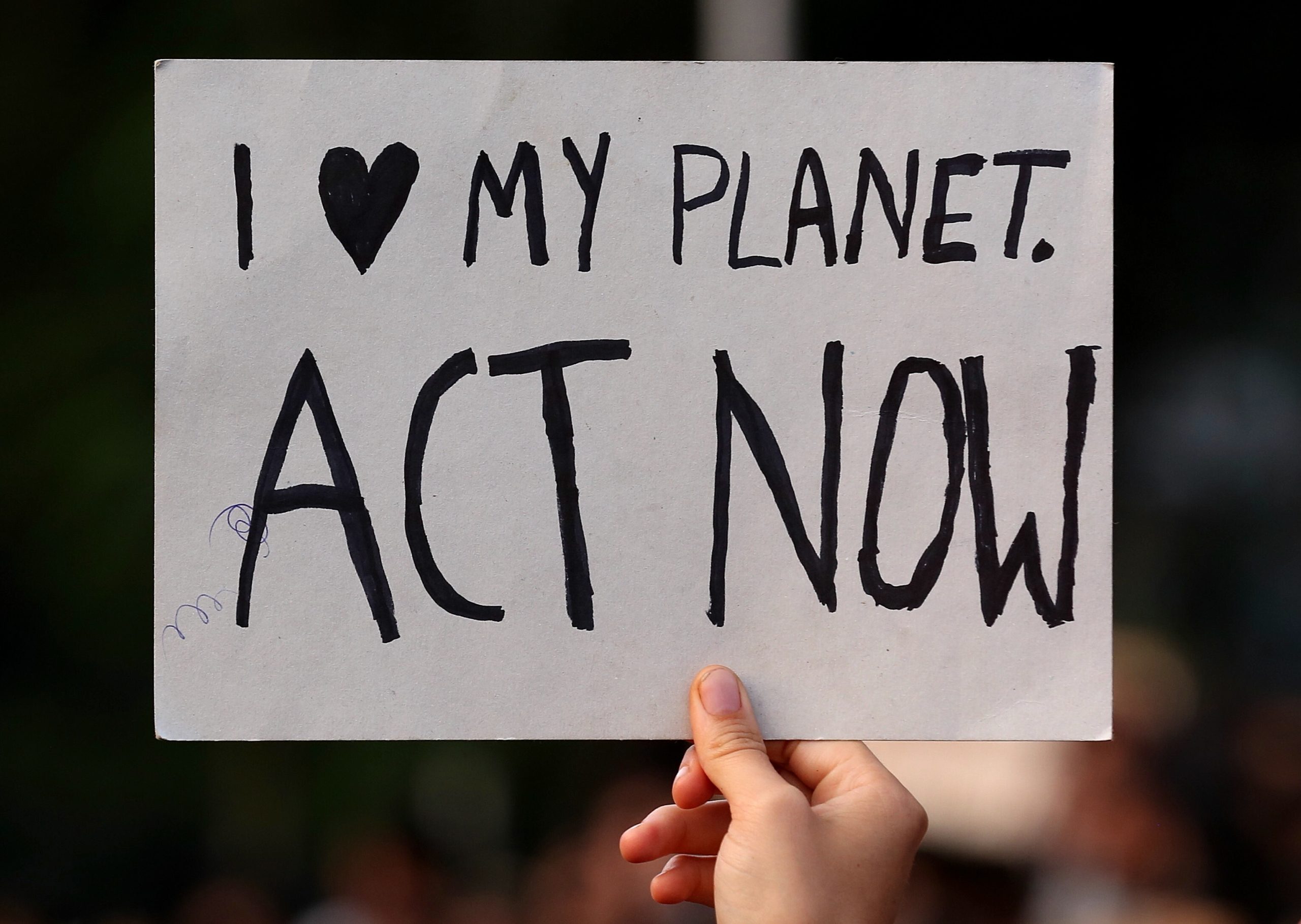 Cimeira da Ação Climática. Juventude mundial reúne-se em Nova Iorque para exigir ação