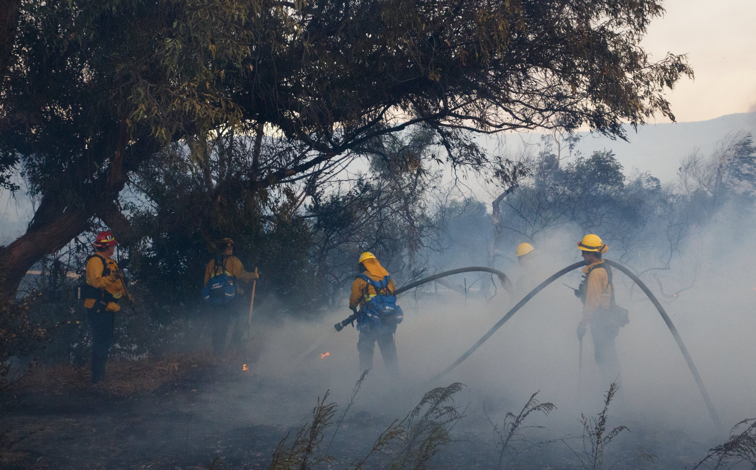 Califórnia quer ajuda federal de 6,4 mil milhões de euros para recuperar de incêndios