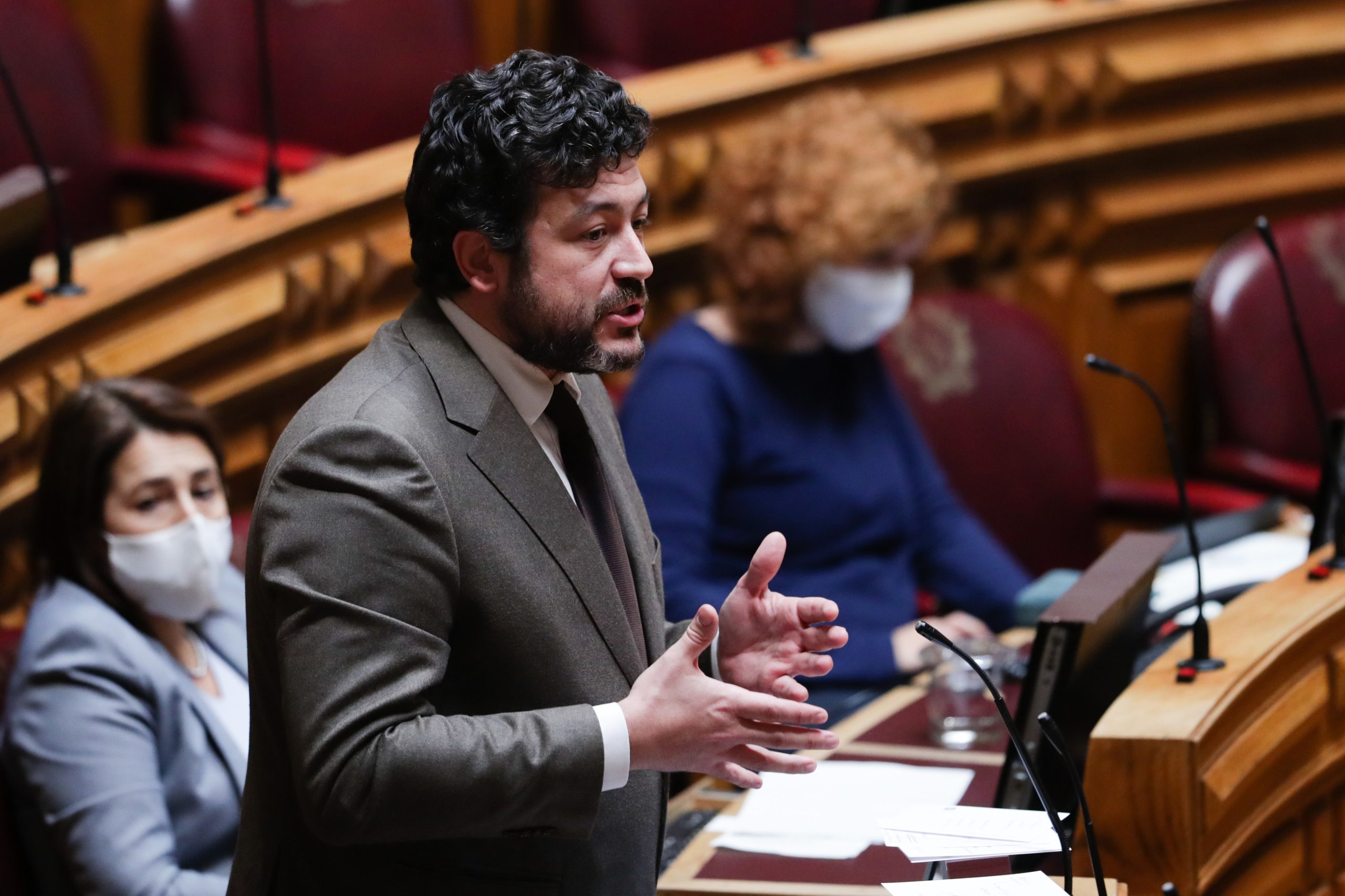 PS disposto a mexer na Constituição e na lei para tornar bem-estar animal “claro para todos”