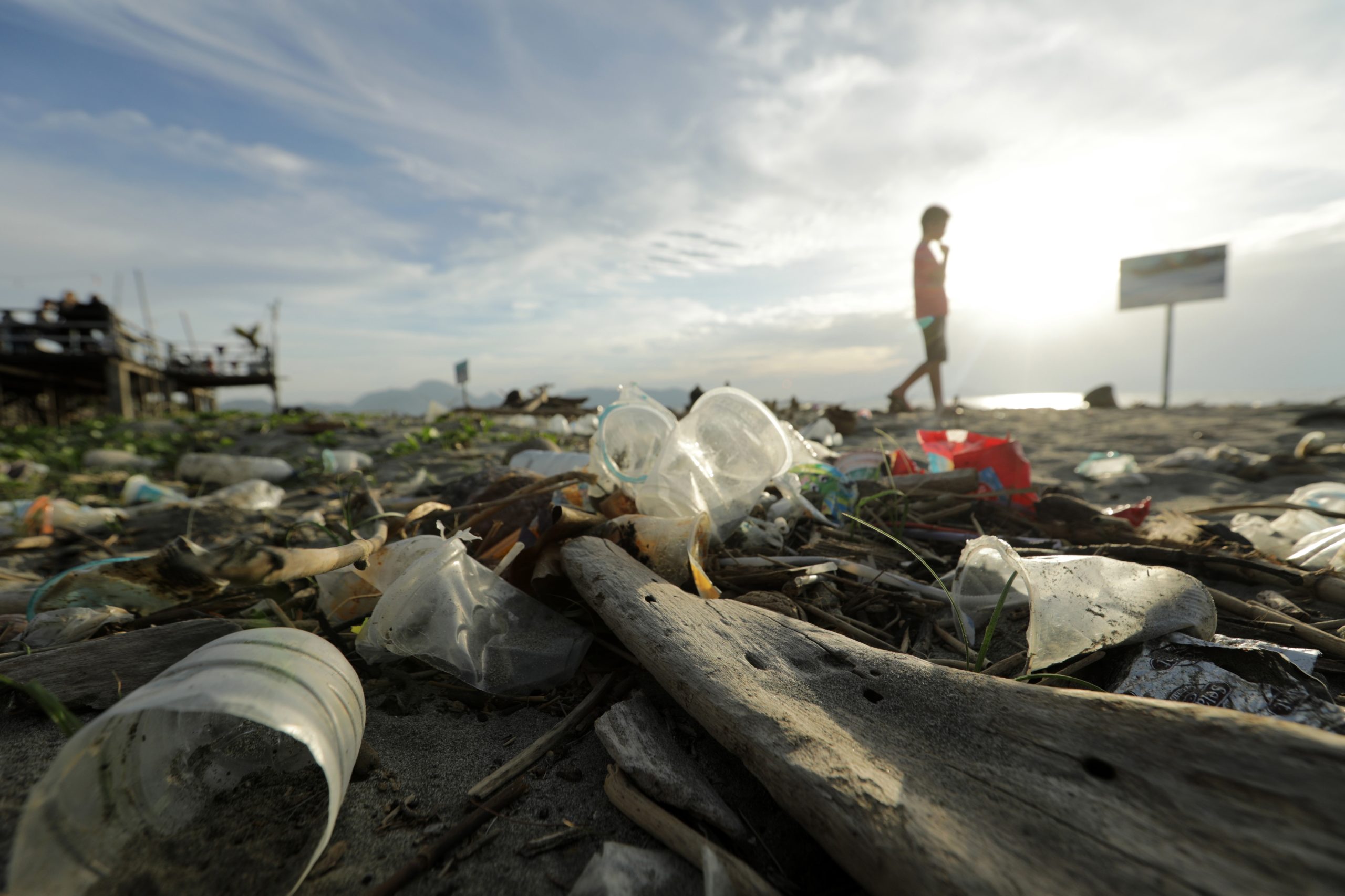 Uso de bens descartáveis é o “problema ambiental mais agudo” do pós-pandemia