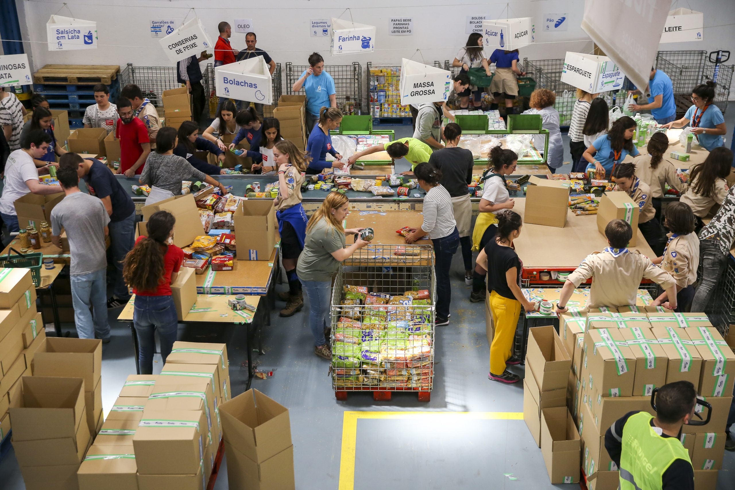 Banco Alimentar contra a Fome recolhe 2.146 toneladas de alimentos no fim de semana