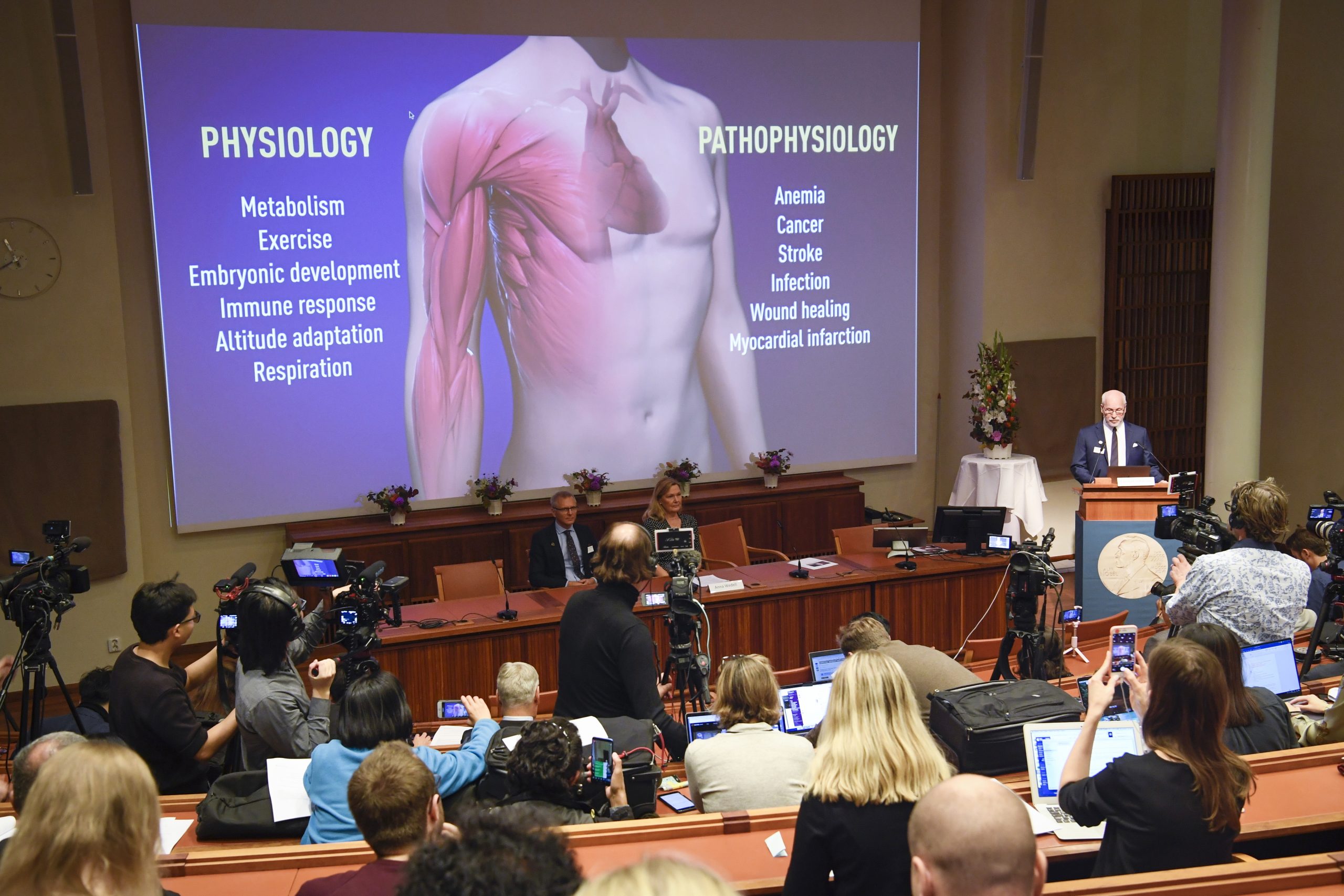 Nobel da Medicina: Três cientistas distinguidos por investigação sobre a forma como as células se adaptam à disponibilidade de oxigénio