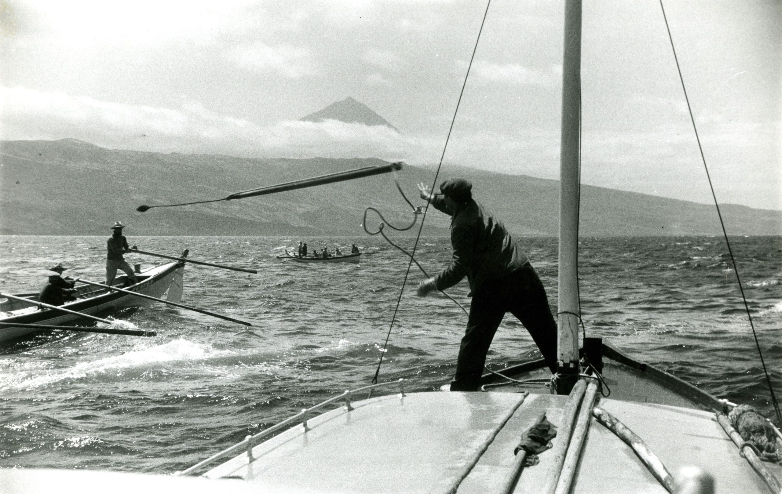 Maratona de leitura de “Moby Dick” lembra presença de baleeiros açorianos nos EUA
