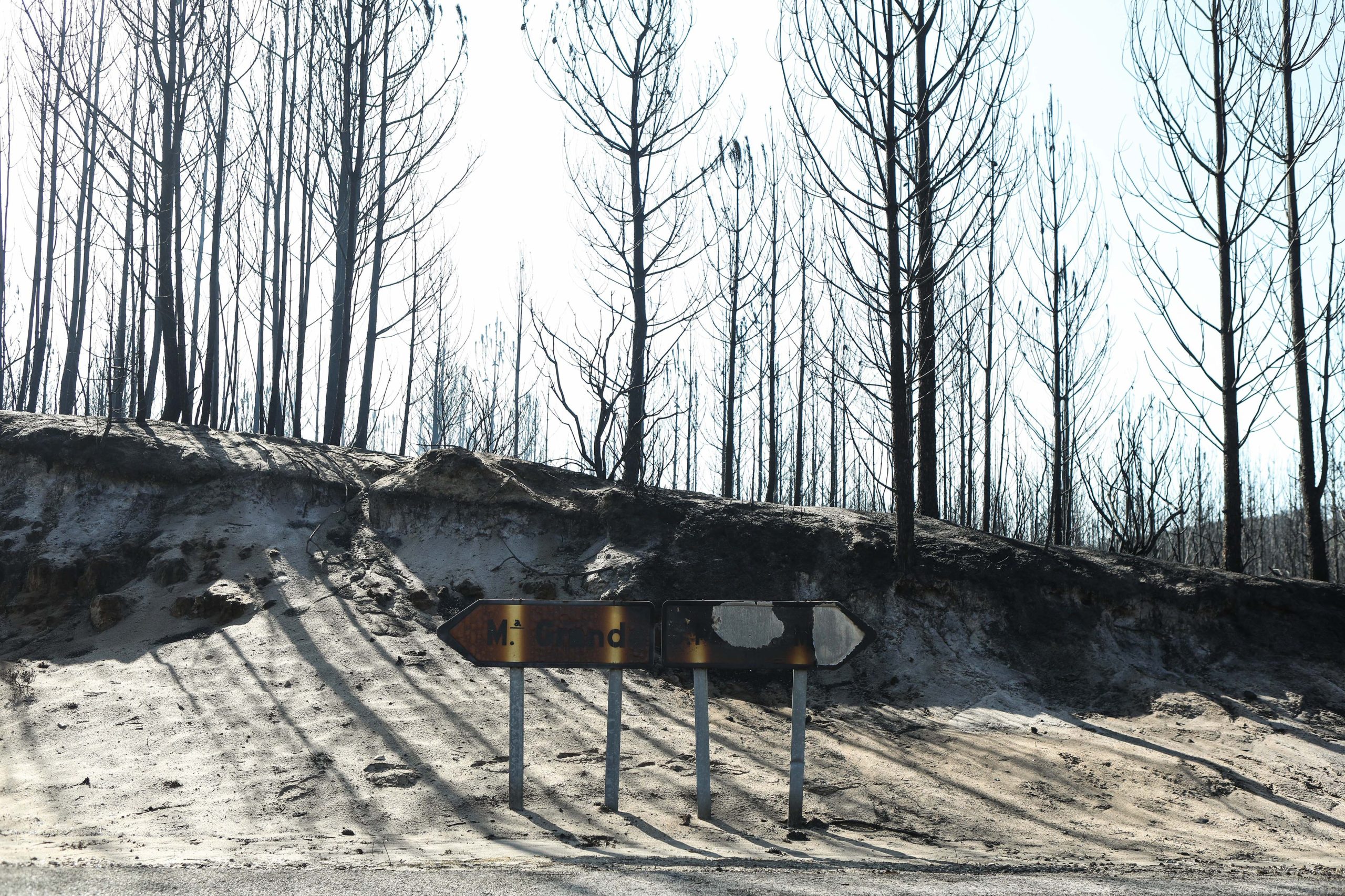 Realidade do país tem sido o esquecimento dos incêndios após o verão, afirma Governo