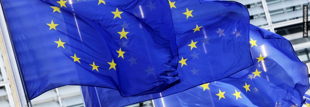 Incêndios: PSD pede acesso urgente à candidatura de Portugal ao Fundo de Solidariedade da UE