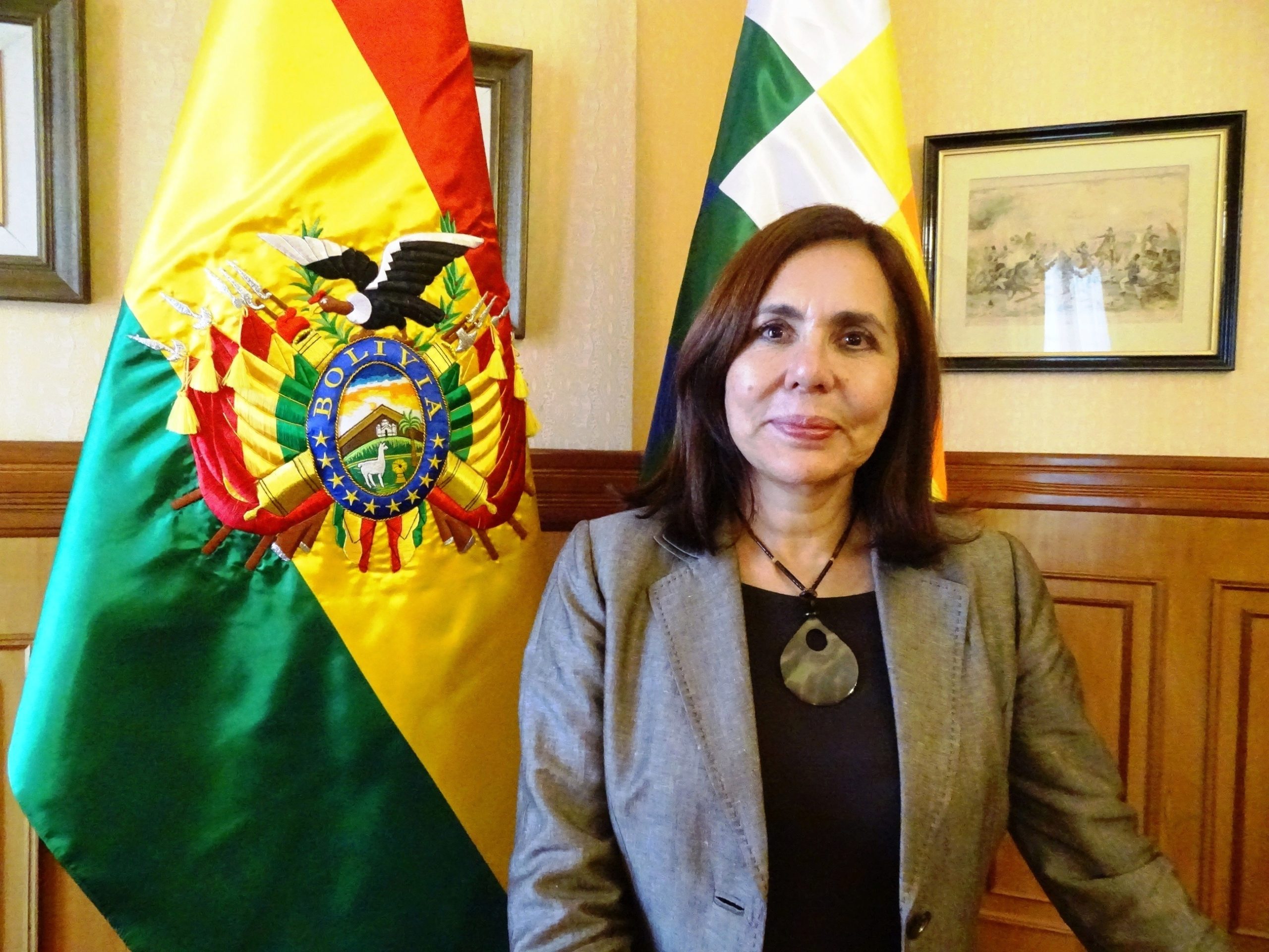 México e Argentina promovem desestabilização da Bolívia e da região, diz chefe da diplomacia