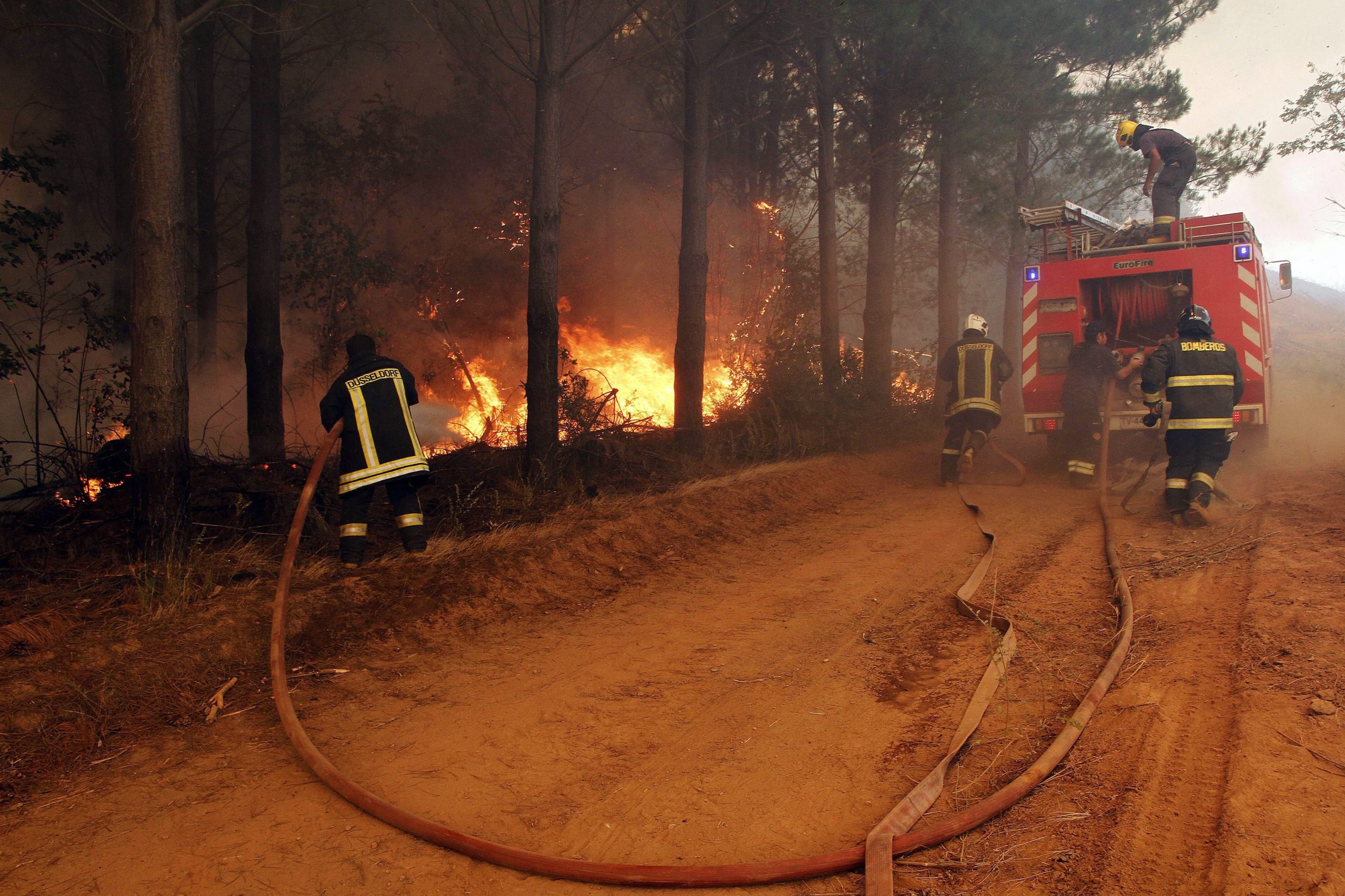 Incêndios florestais no Chile forçam 4.000 pessoas a saírem casa