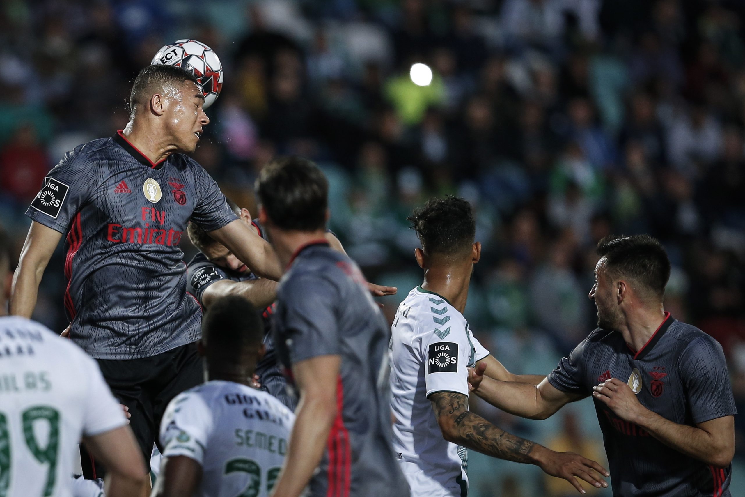 Benfica empata em Setúbal e pode ver o FC Porto ‘fugir’