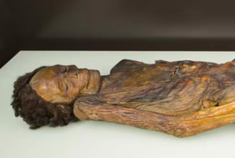 Múmia retirada de museu em Madrid para evitar exposição de restos mortais humanos