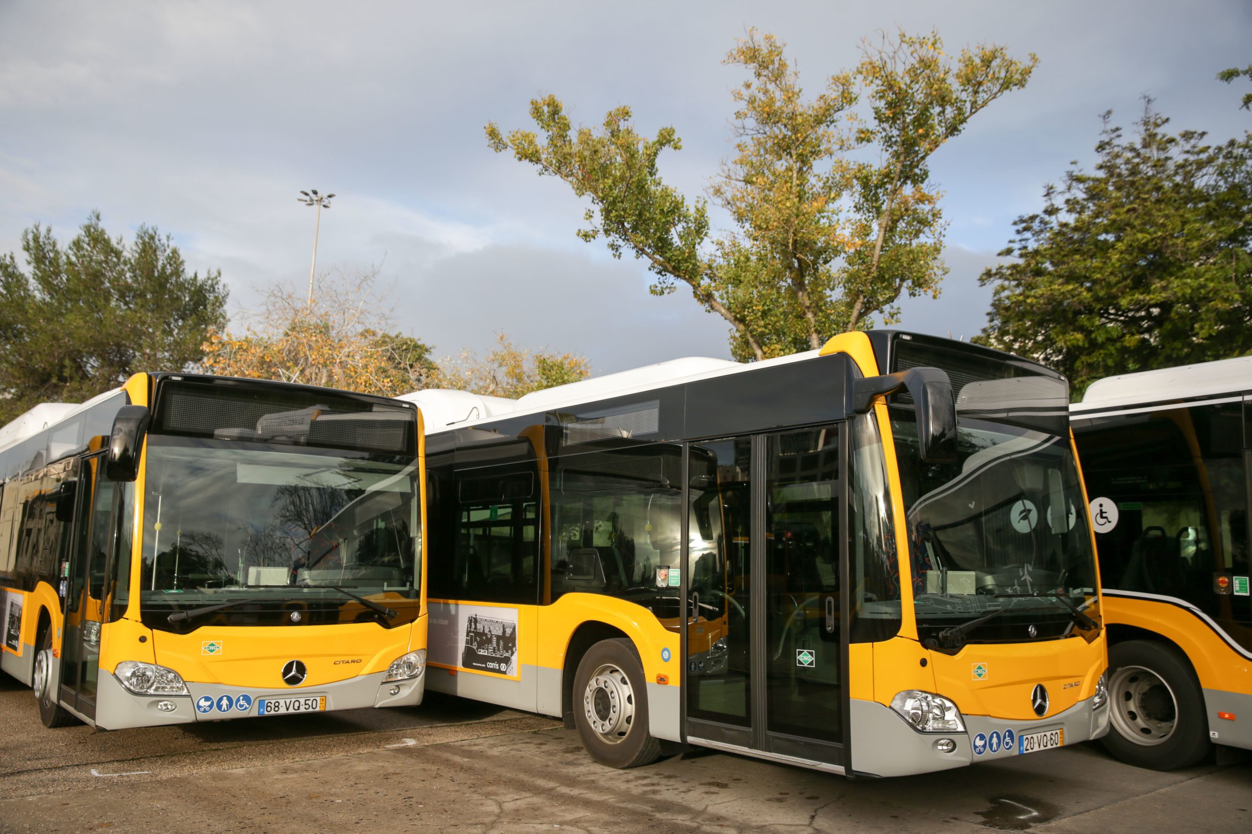 Primeiros autocarros da Carris Metropolitana nas ruas de Lisboa em junho