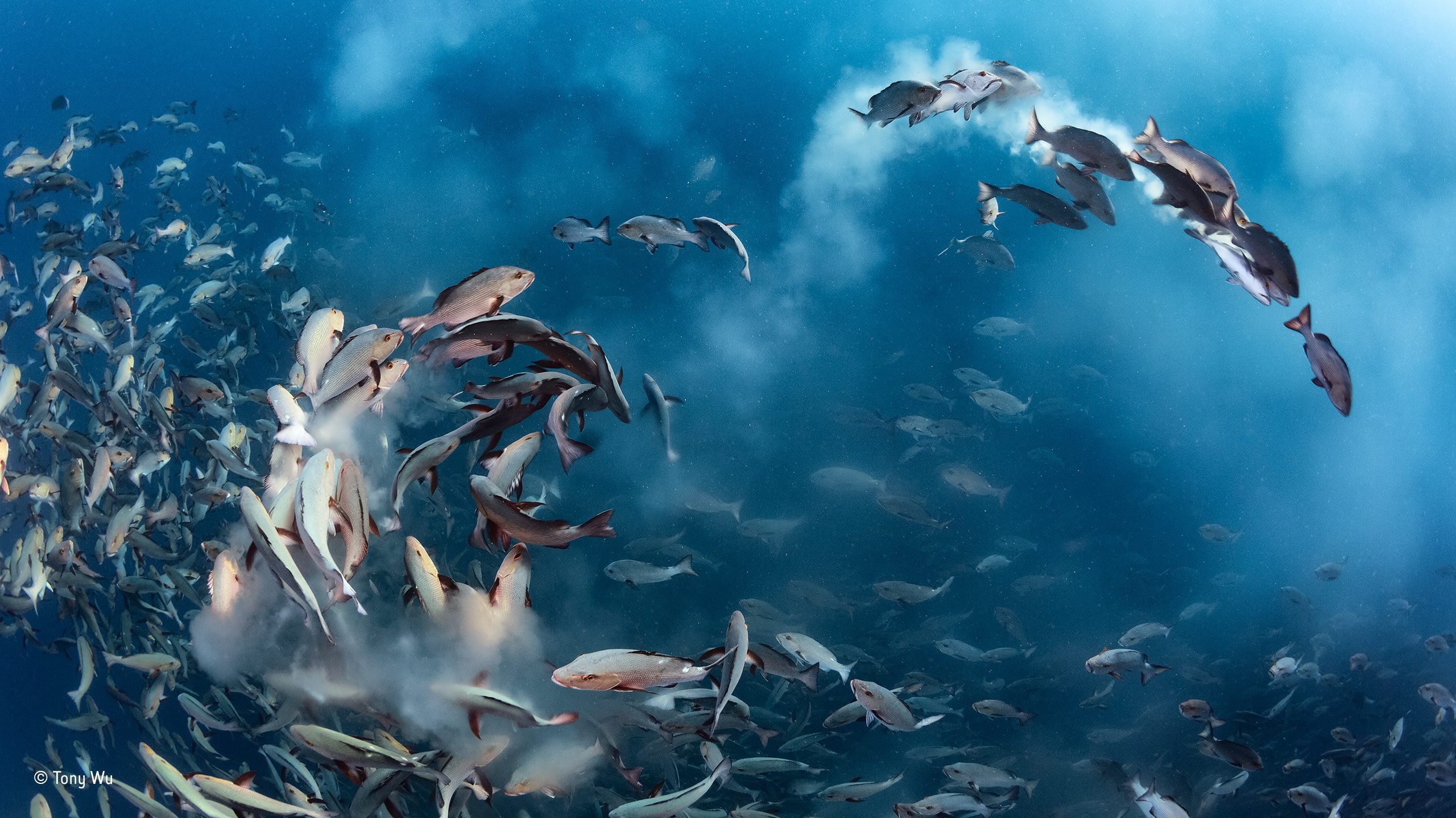 Our Ocean 2017: 61 países reúnem-se em Malta para compromissos de gestão sustentável dos oceanos