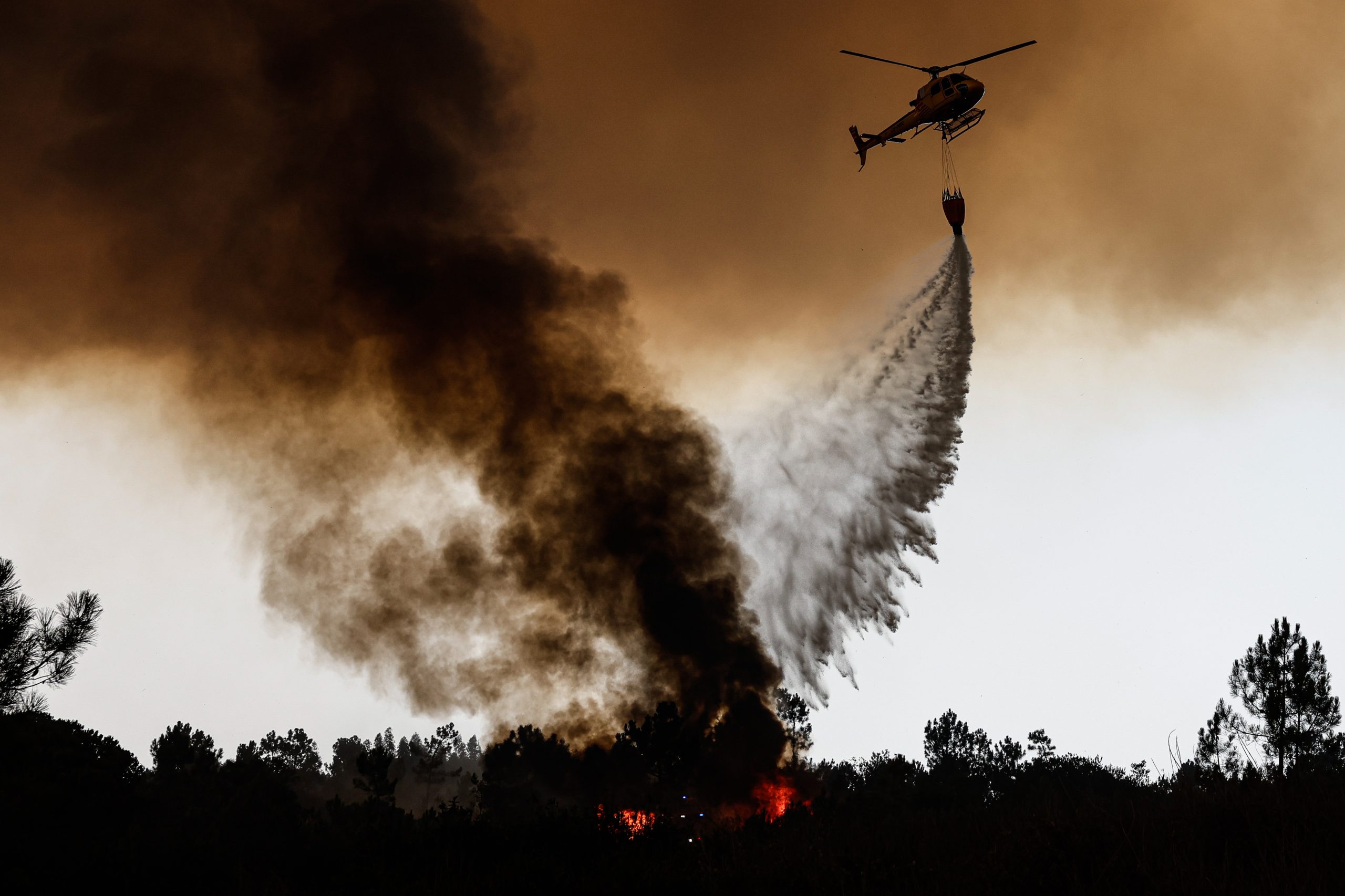 Incêndios: turismo rural foi destruído em São Teotónio e proprietária diz que não teve ajuda