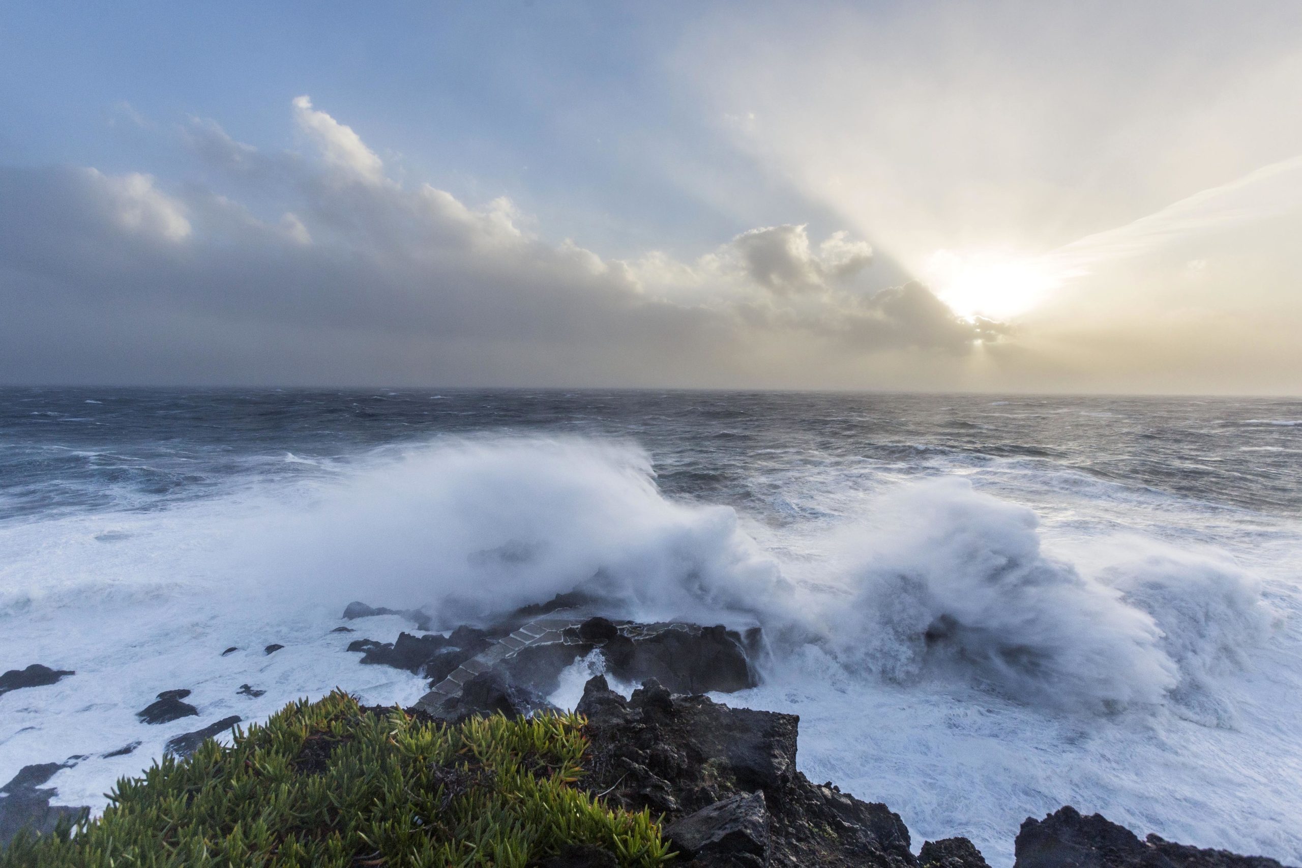 Cientistas alertam: sem dinheiro e pessoal, as áreas marinhas protegidas só existem no papel