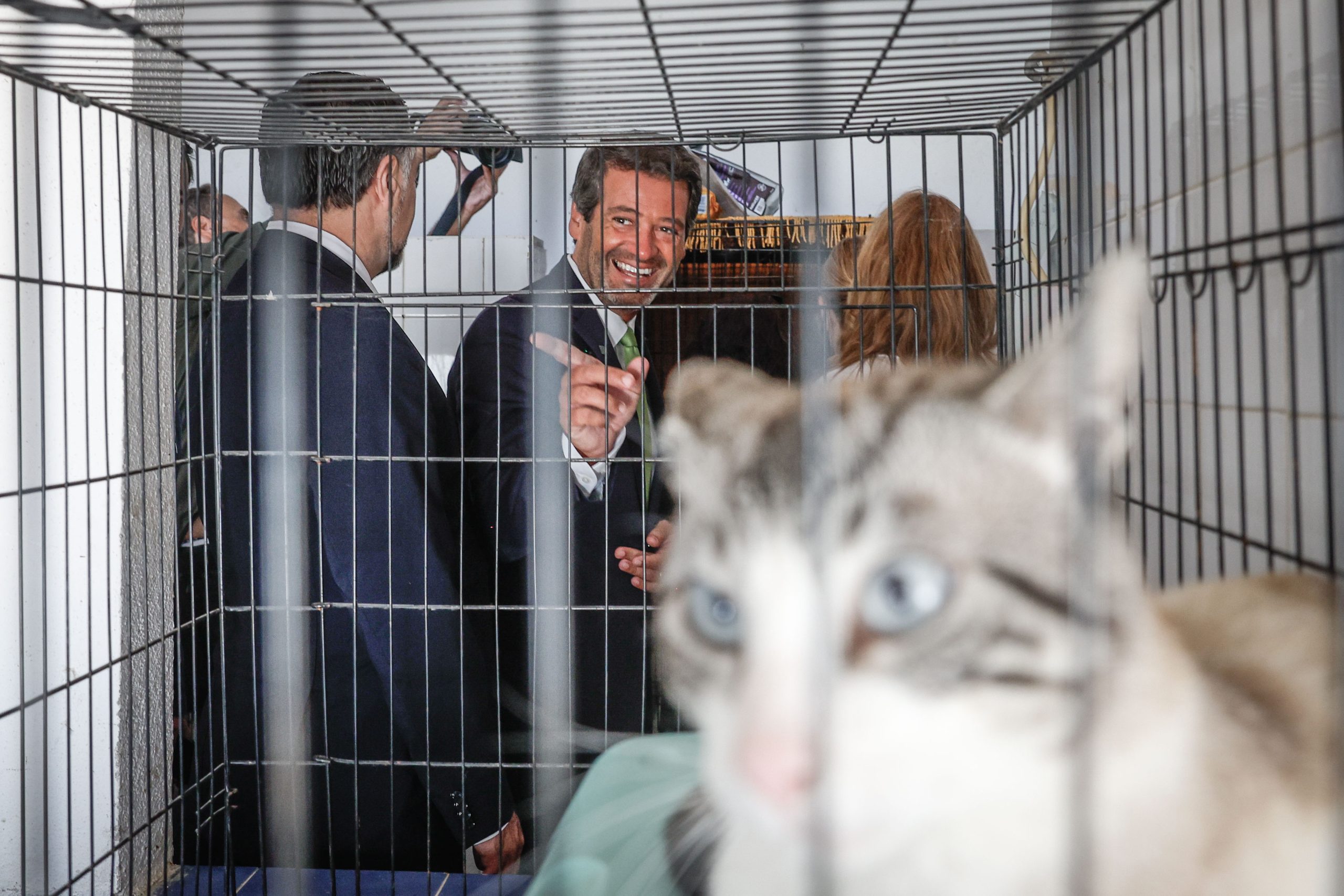 “O Chega não quer mais conversa, isso fica para os socialistas”. Ventura foi ver os animais para falar sobre o Orçamento