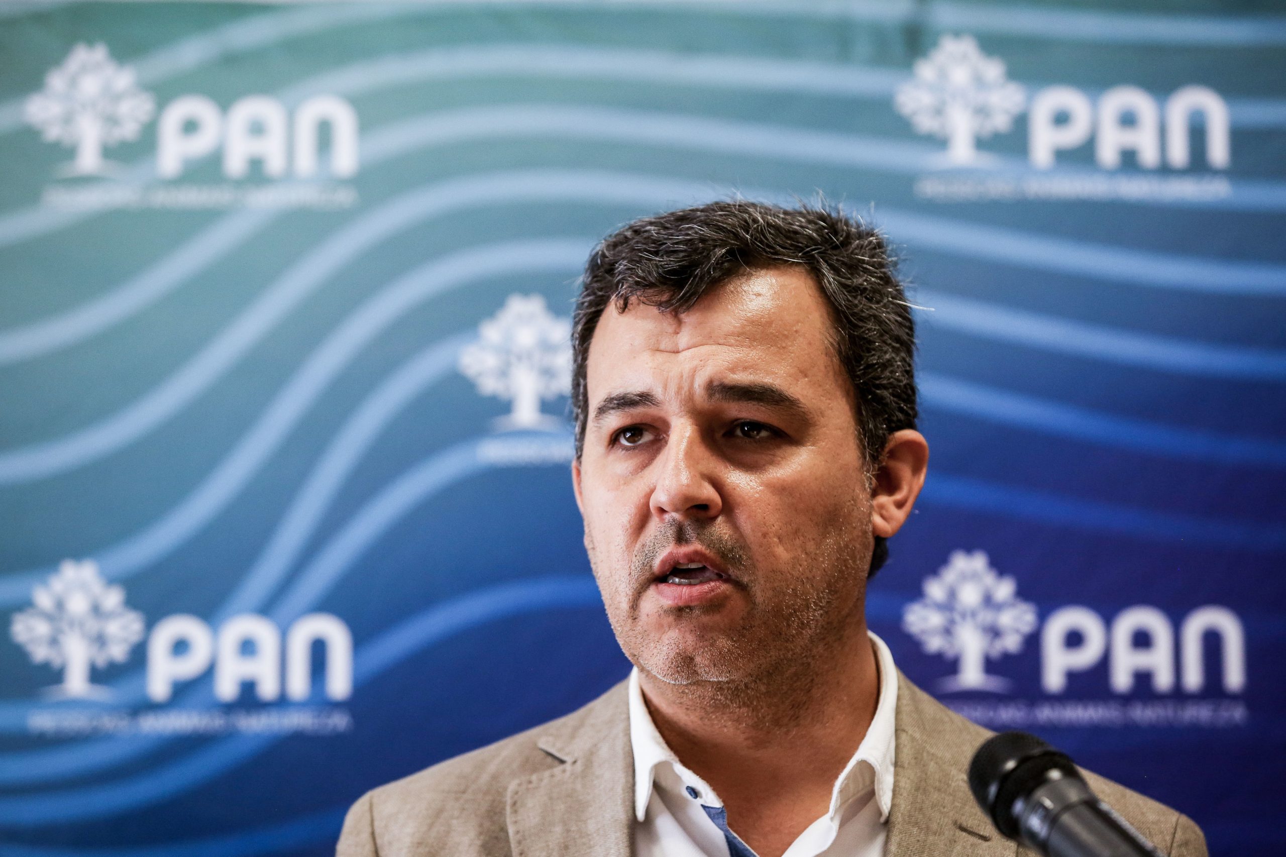 PAN vai propor que autárquicas decorram em dois dias e rejeita adiamento devido à pandemia