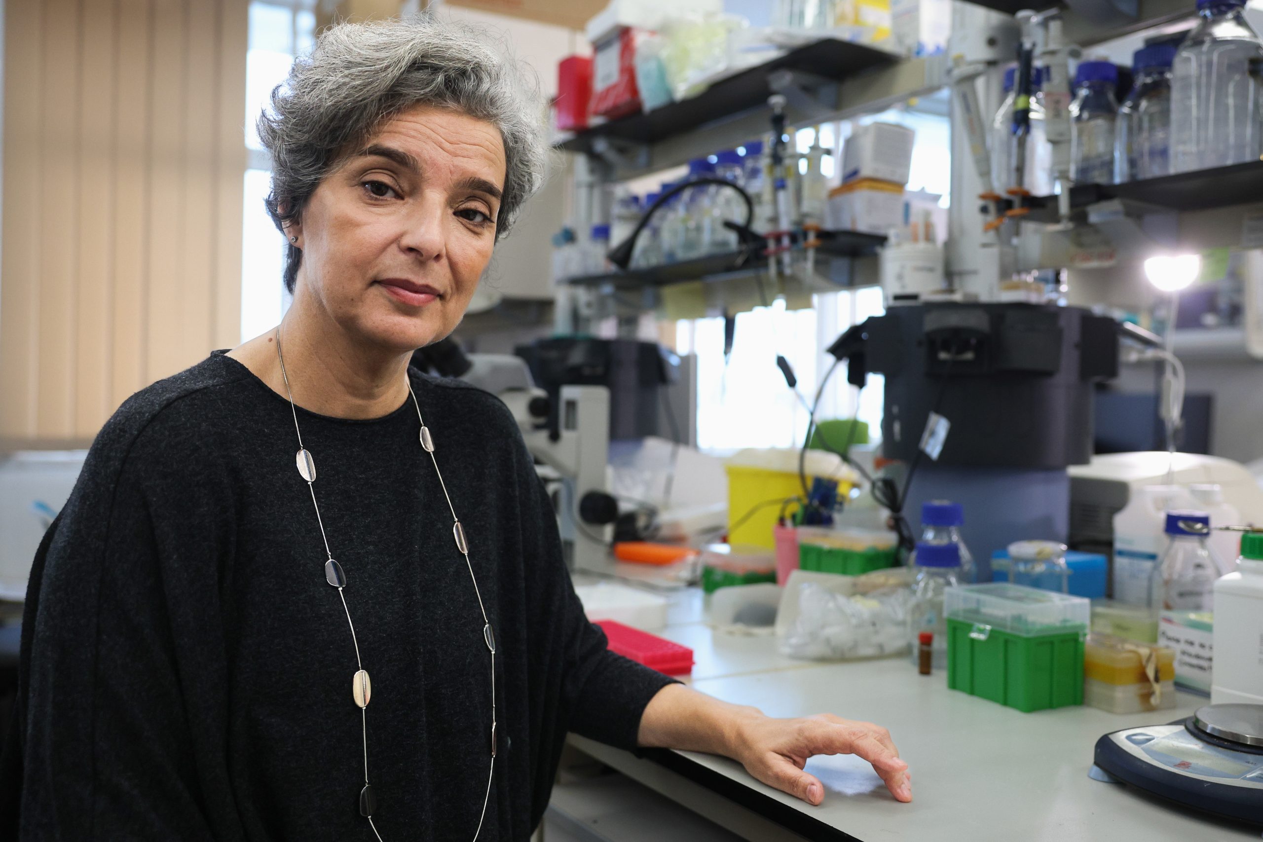 Cancro colorretal e da mama estão a aparecer em idades mais jovens. Maria Manuel Mota defende antecipação dos rastreios