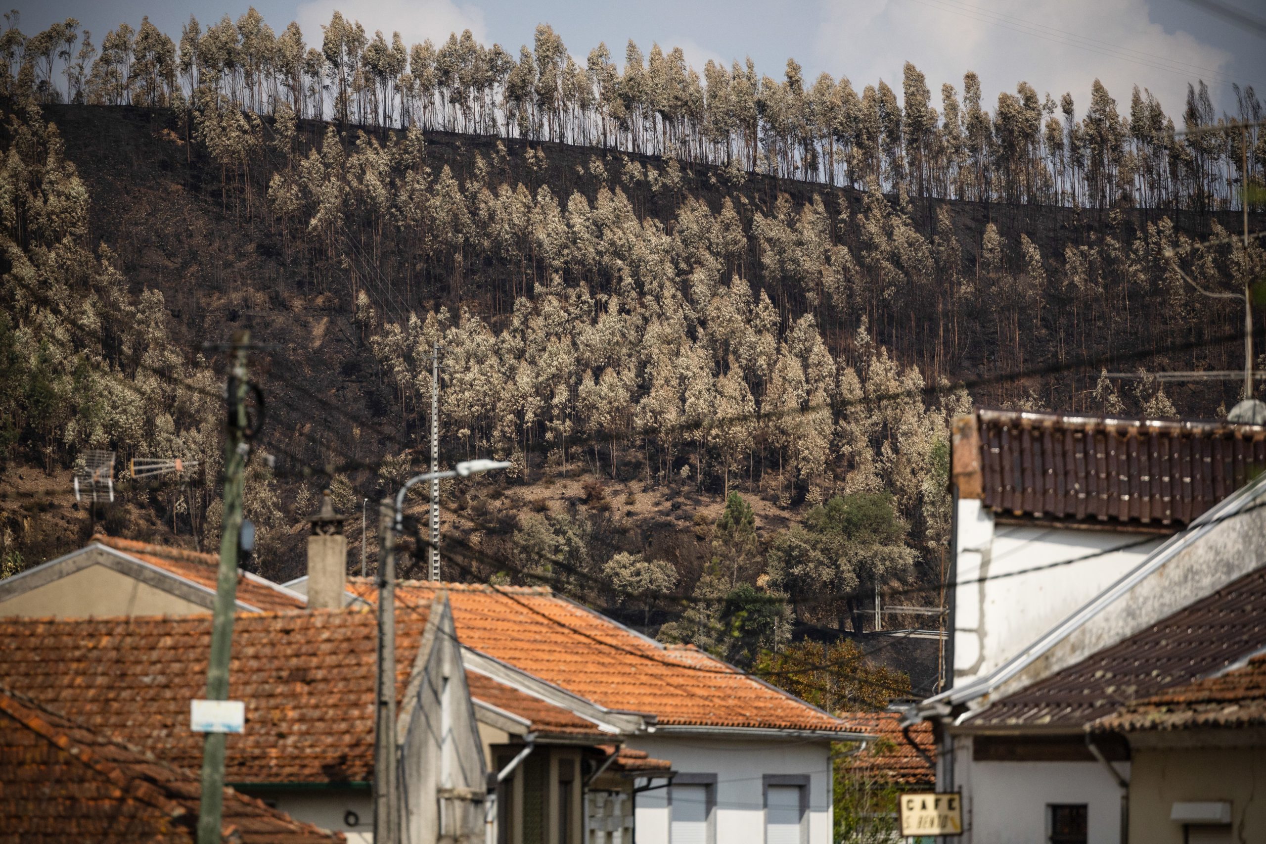 Há 24 detidos por crime de incêndio, 80% em prisão preventiva