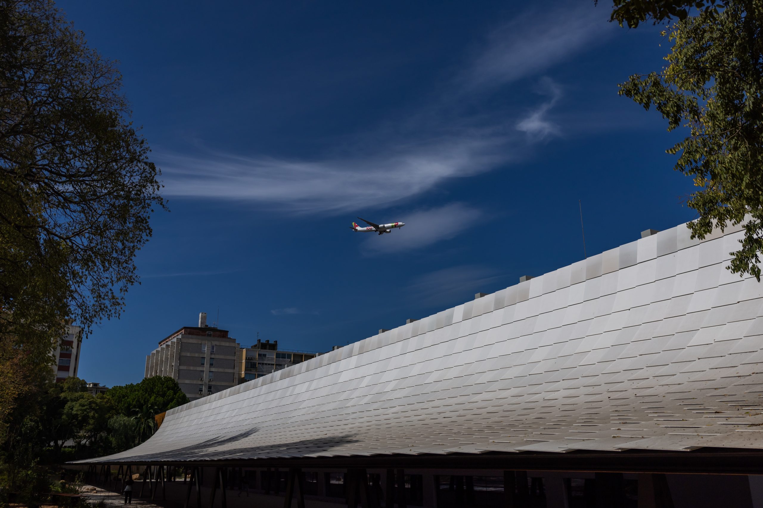 MP pede impugnação de decisões para obras no aeroporto de Lisboa