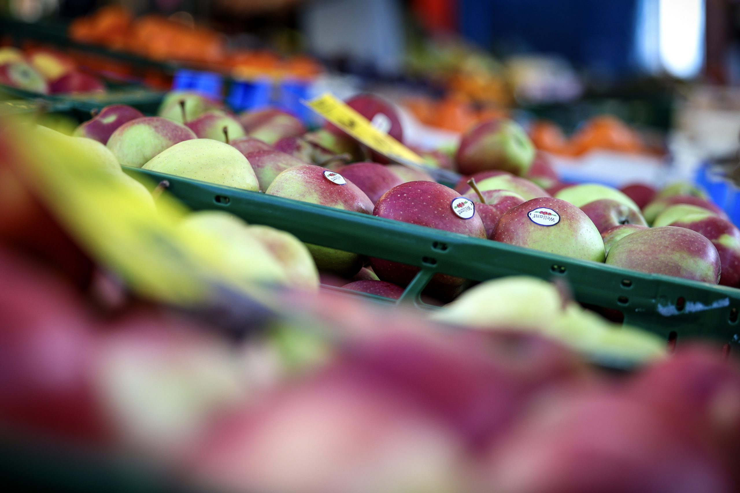 Exportações de frutas, legumes e flores batem novo recorde de 2300 milhões de euros em 2023