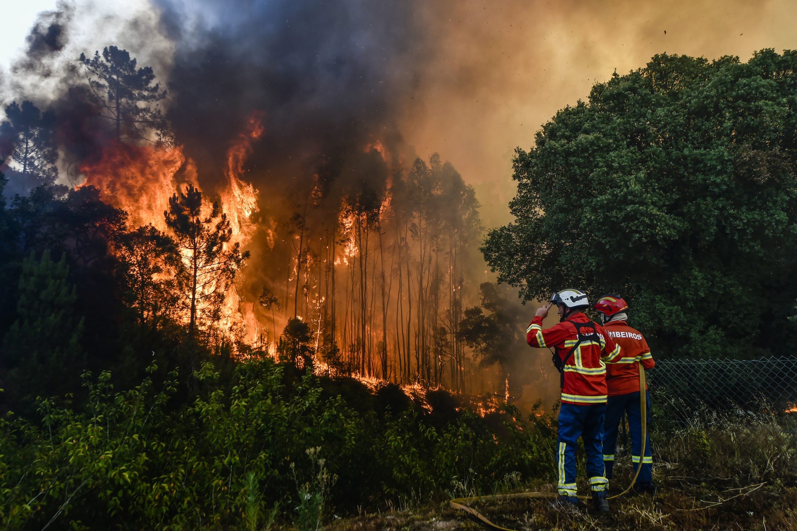 Fogos tiveram custo de 377,2 milhões de euros em Portugal em 2023