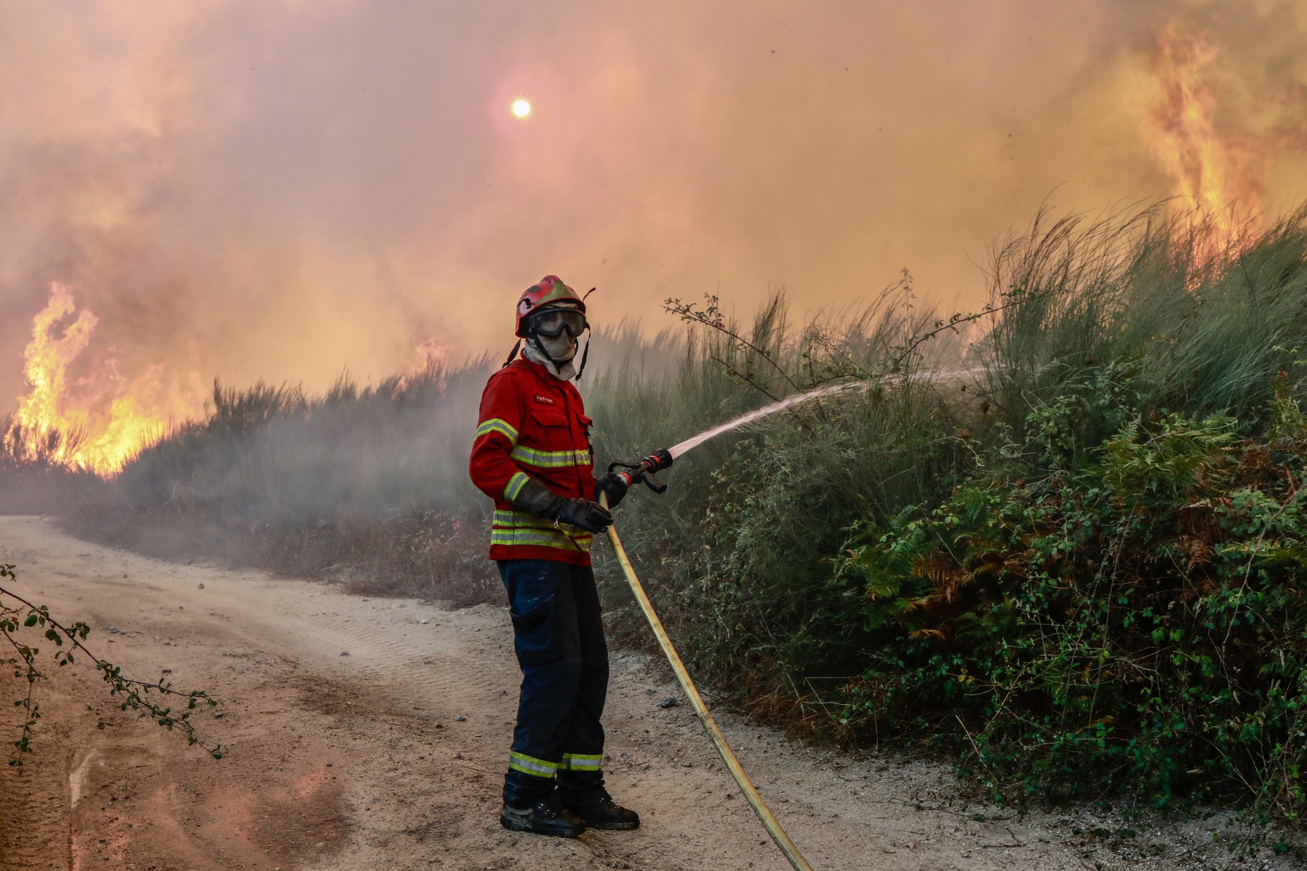 Depesa do Estado com sistema de fogos rurais atingiu 638 milhões de euros no ano passado