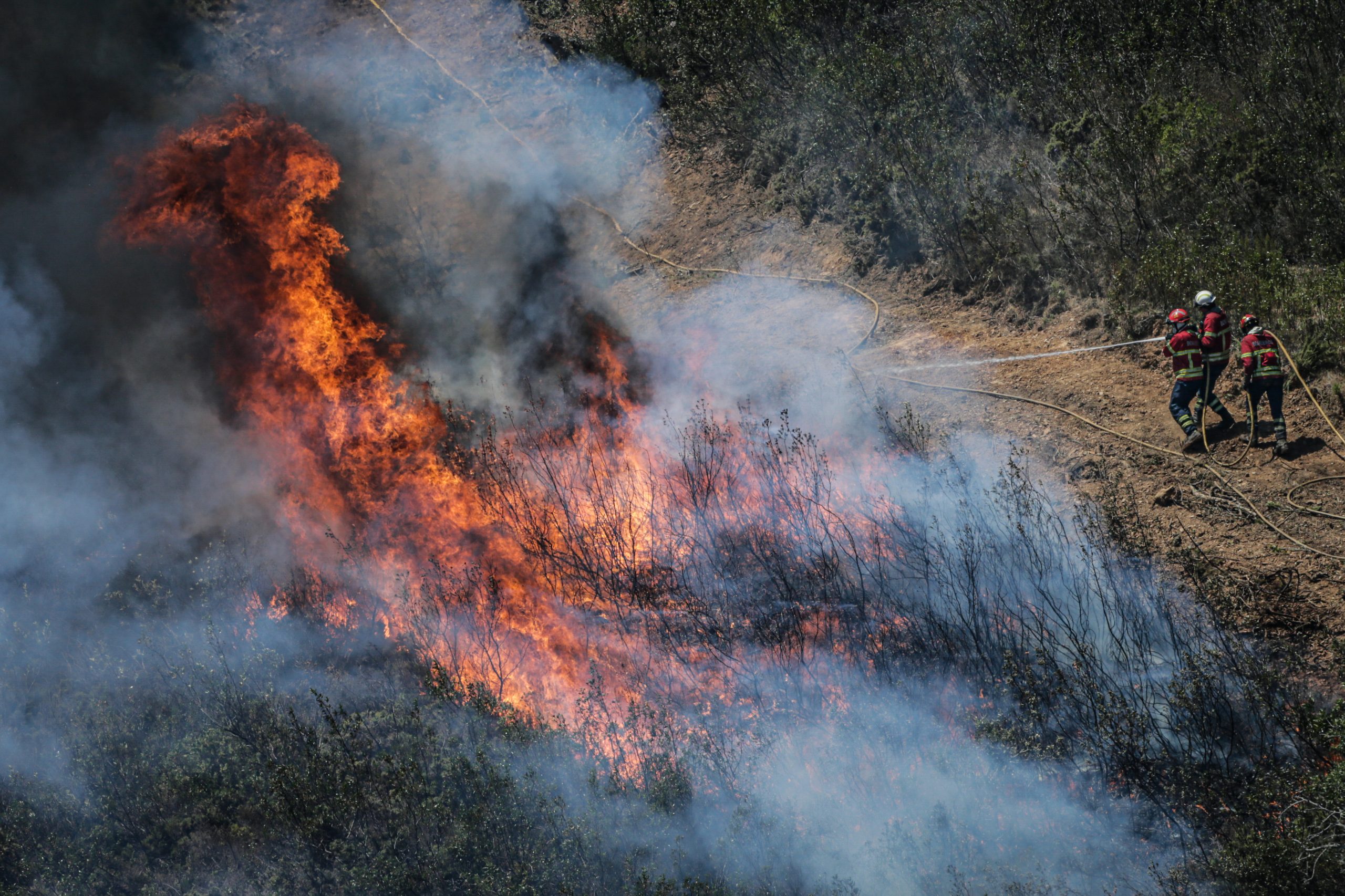 Homem detido em Pombal por provocar incêndio florestal durante limpeza de caminhos