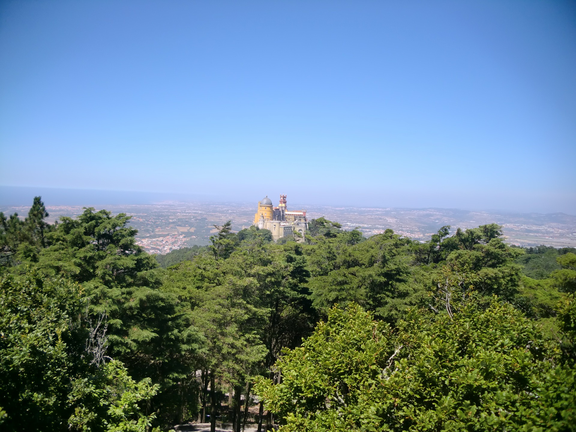 Acessos à Serra de Sintra encerrados a partir das 19h00 devido a vento forte