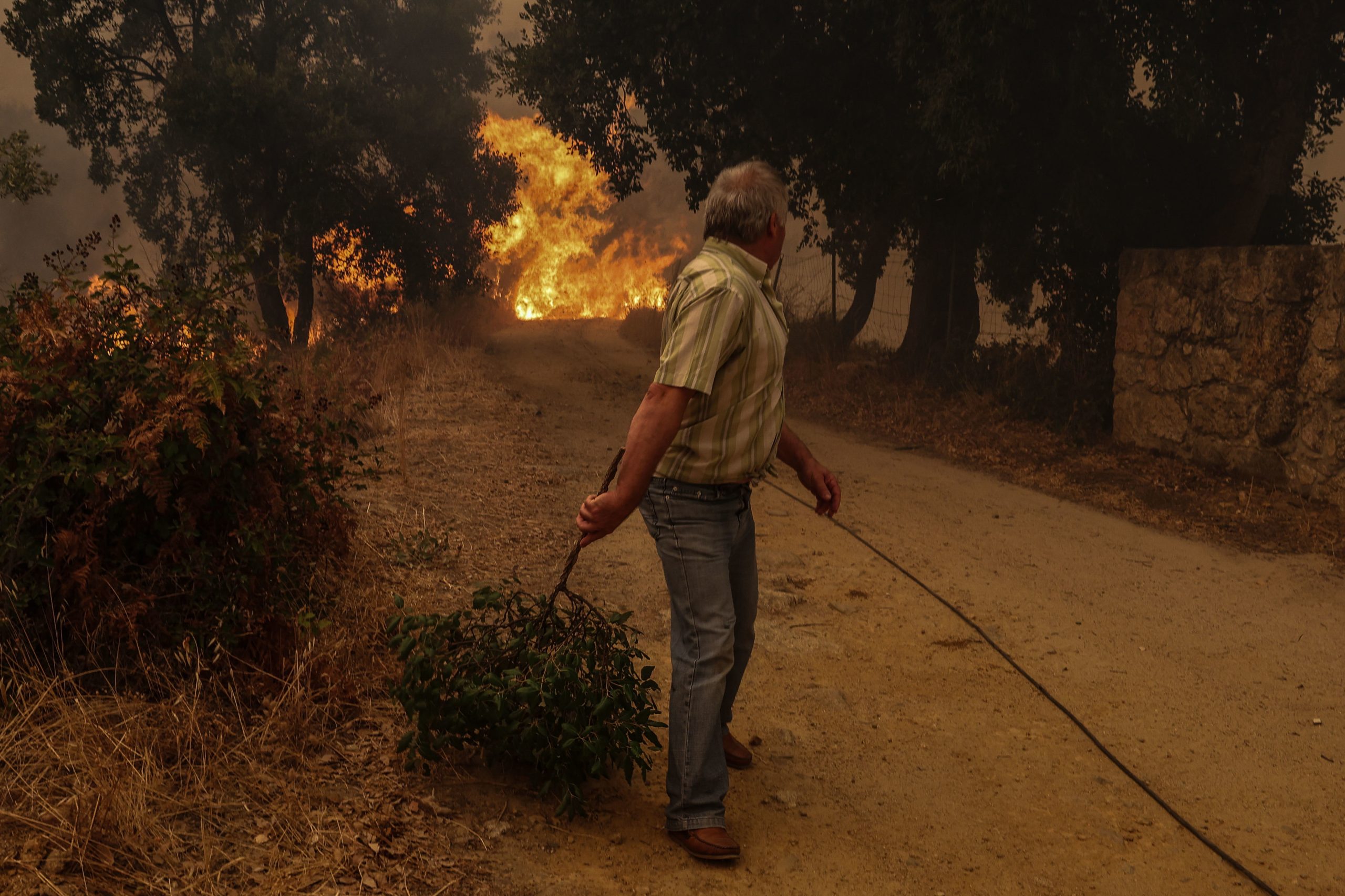 Quer ajudar? Há uma plataforma que liga vítimas de incêndios a voluntários de todo o país