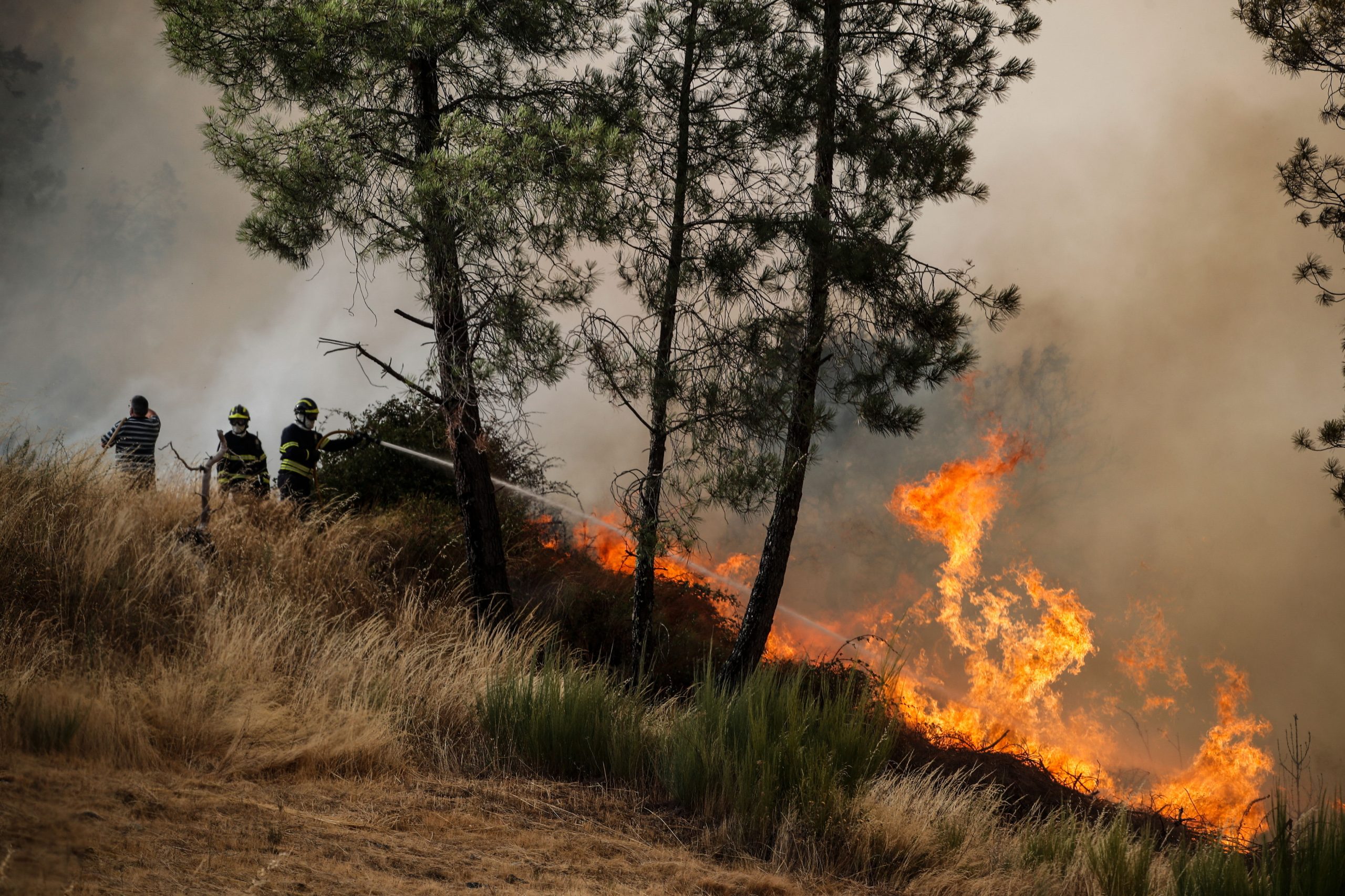 Incêndios. Governo já recebeu cinco mil pedidos de ajuda, cinco vezes mais do que em 2024