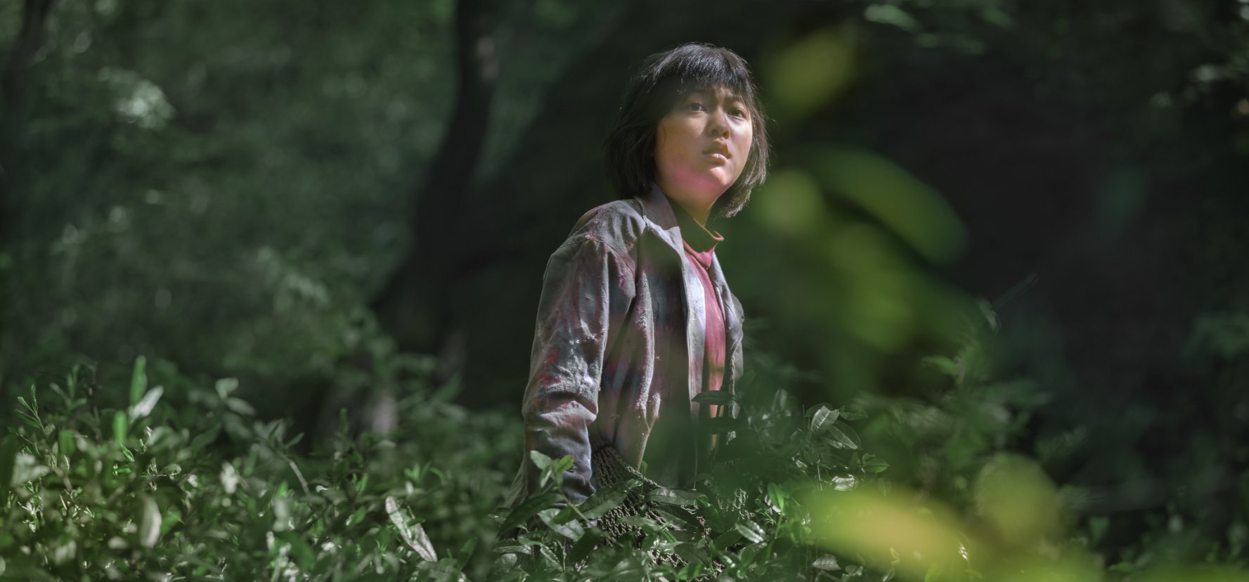 Netflix excluída de Cannes. Empresa de streaming apela à modernização do festival de cinema