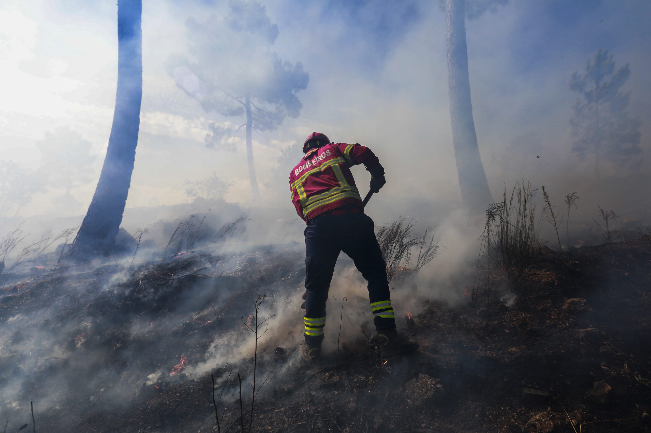 Incêndio na Guarda faz uma vítima mortal
