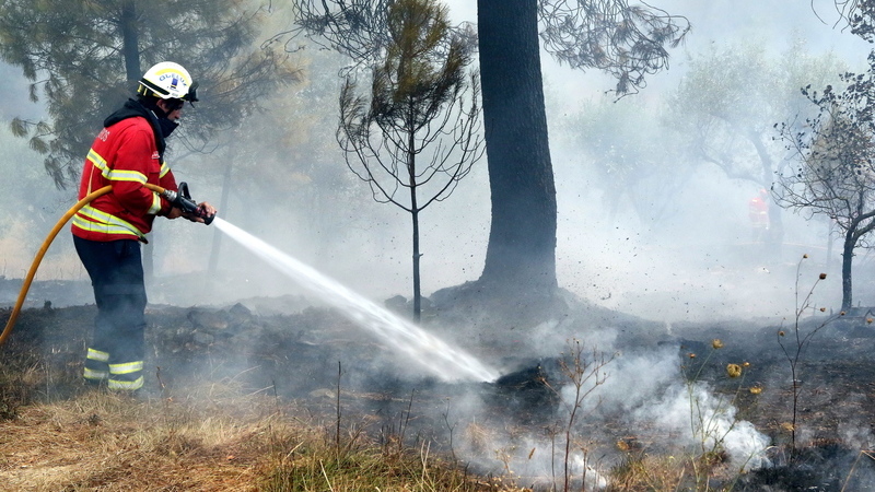 Incêndios: Reacendimento em Alijó com mais meios aéreos no combate
