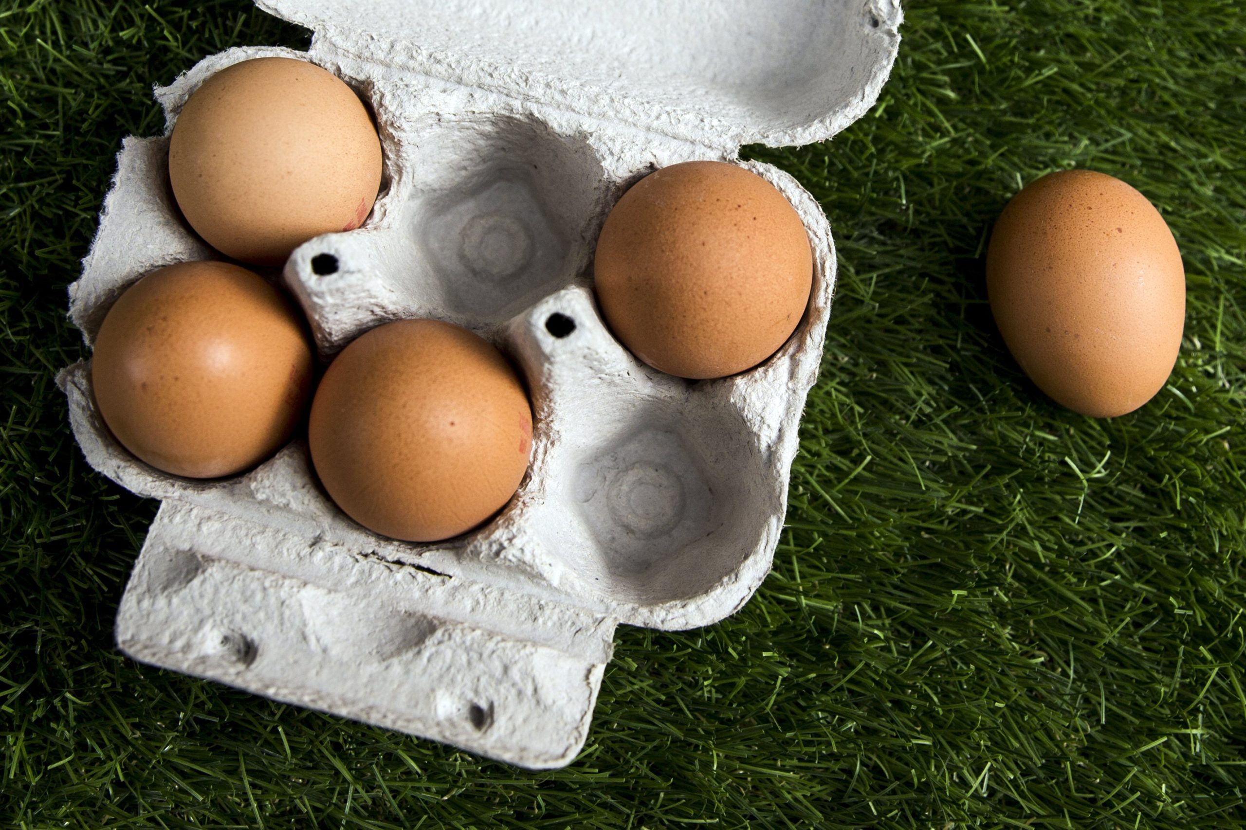 Espanha identifica ovoprodutos contaminados com fipronil