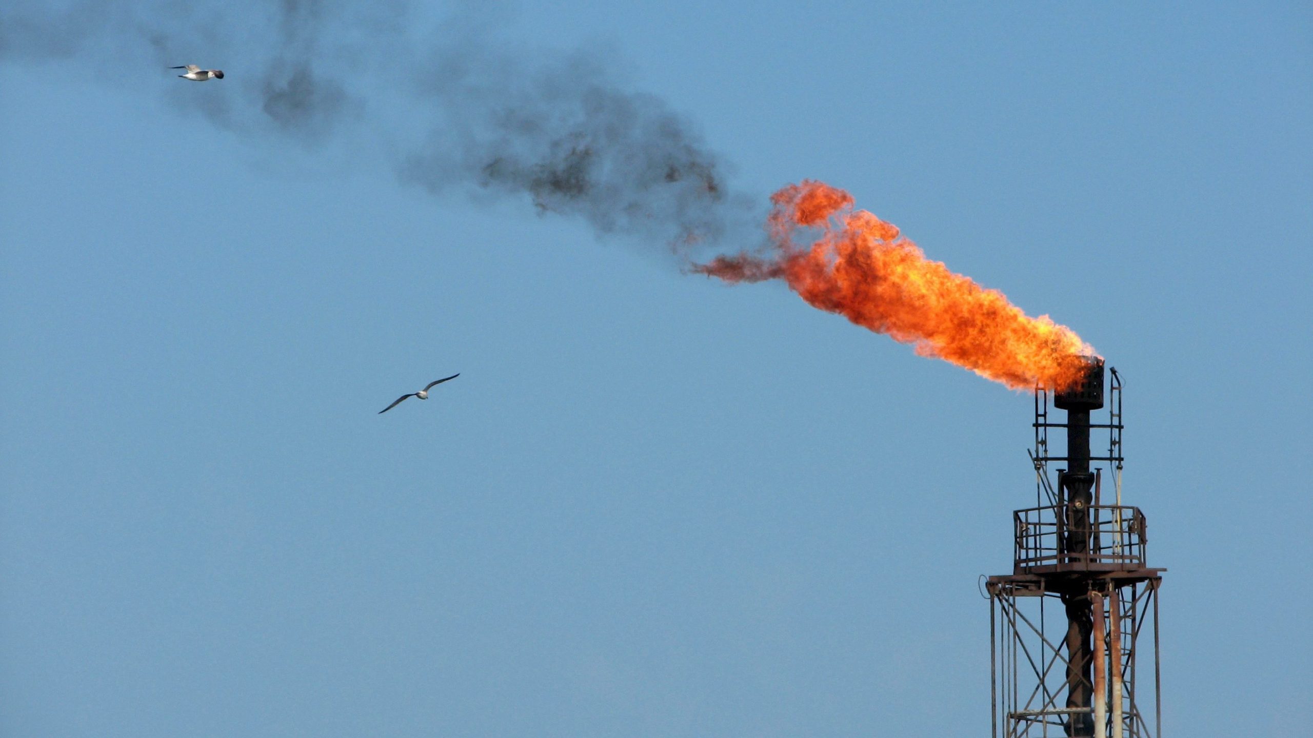 Venezuela e Guiana em conflito por causa de petróleo em águas disputadas