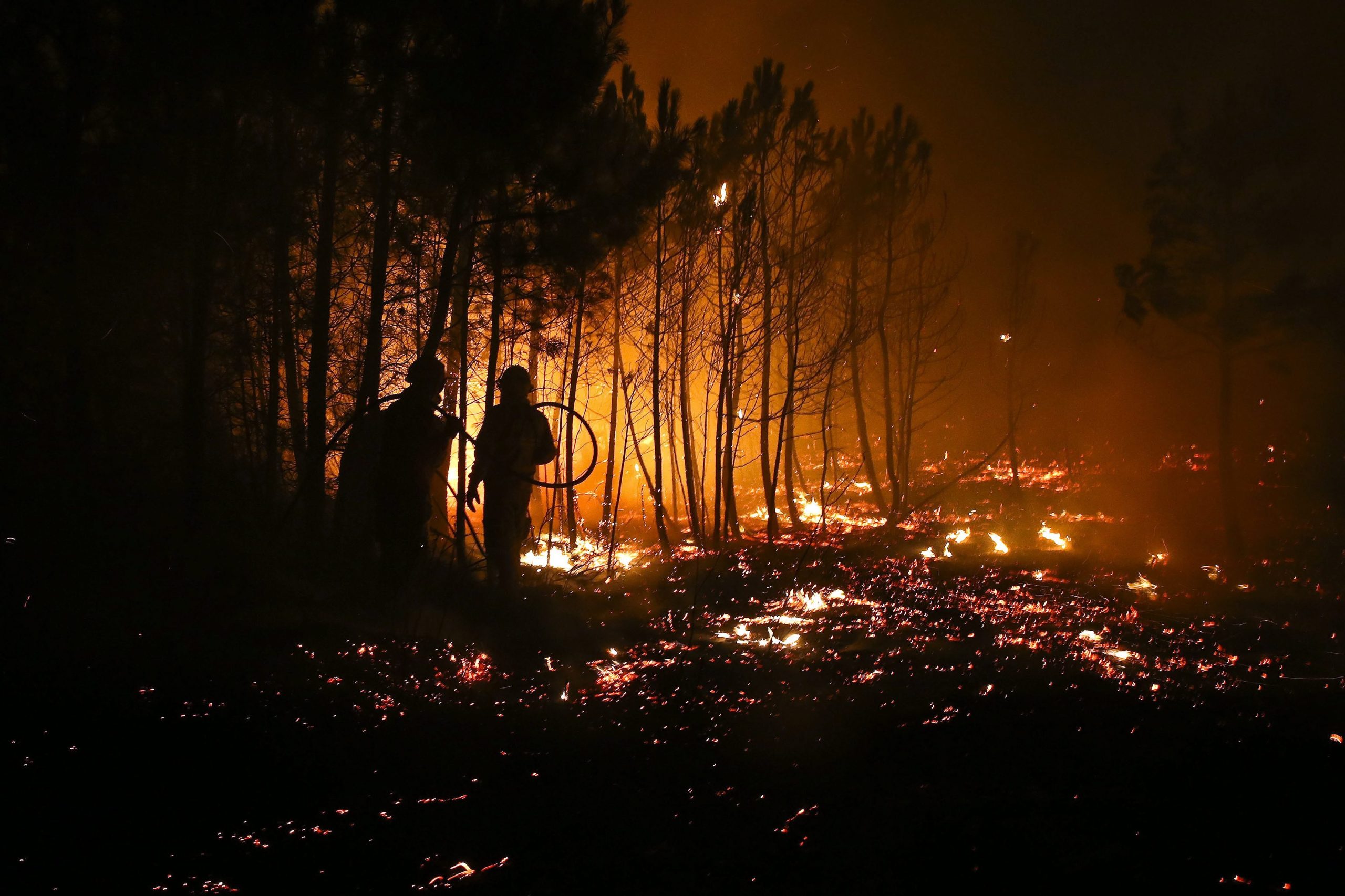 Fogo em Pampilhosa da Serra combatido por 509 operacionais com meios aéreos