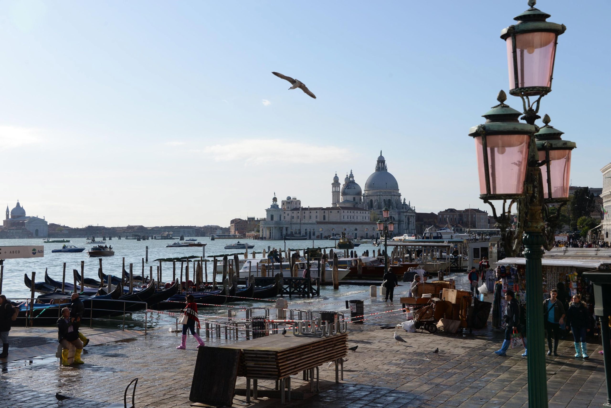 Inundações são “um golpe no coração” de Veneza. Governo italiano prepara-se para declarar estado de emergência