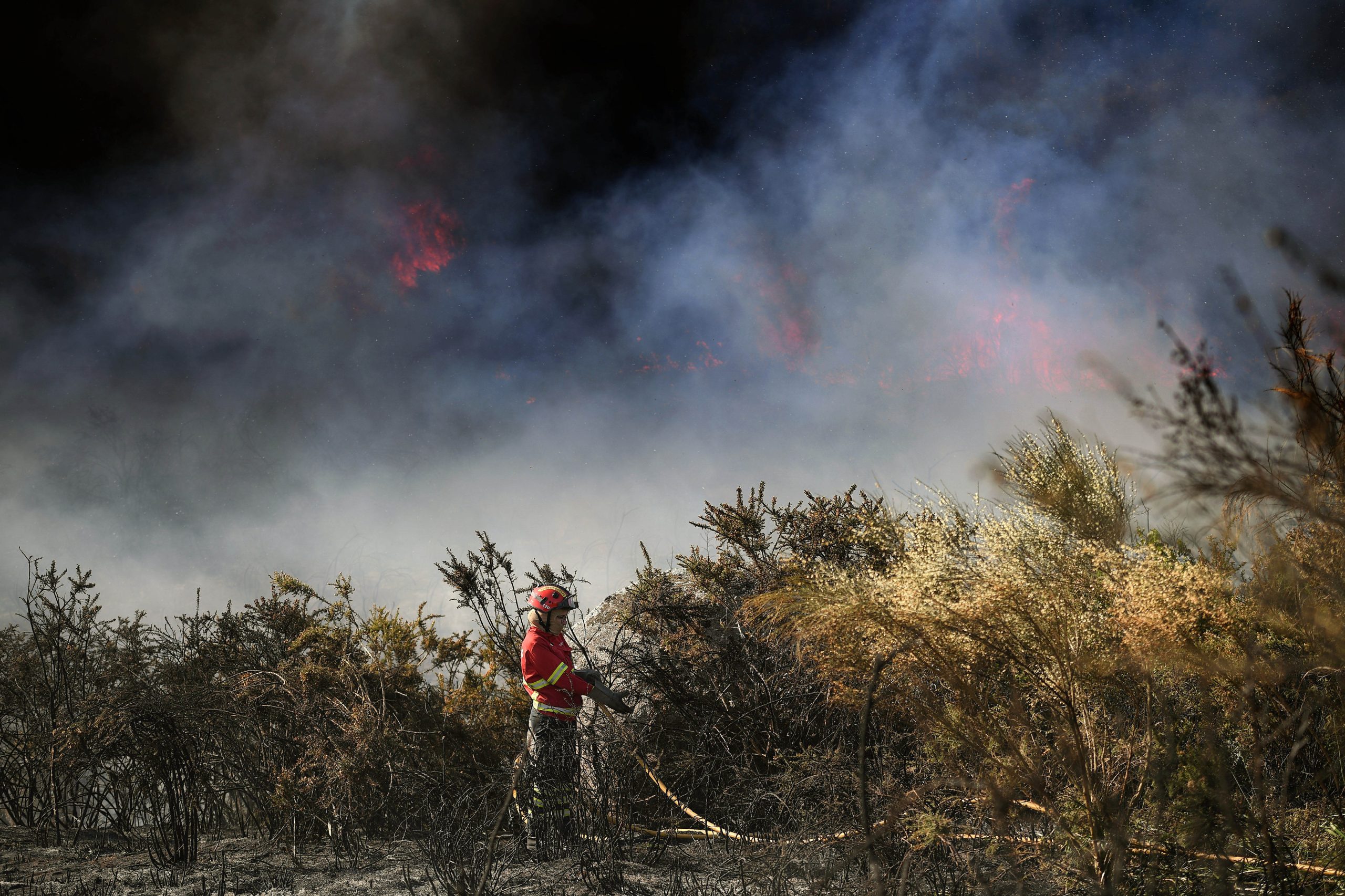 Incêndios: Nove distritos do país com risco ‘máximo’ devido ao calor