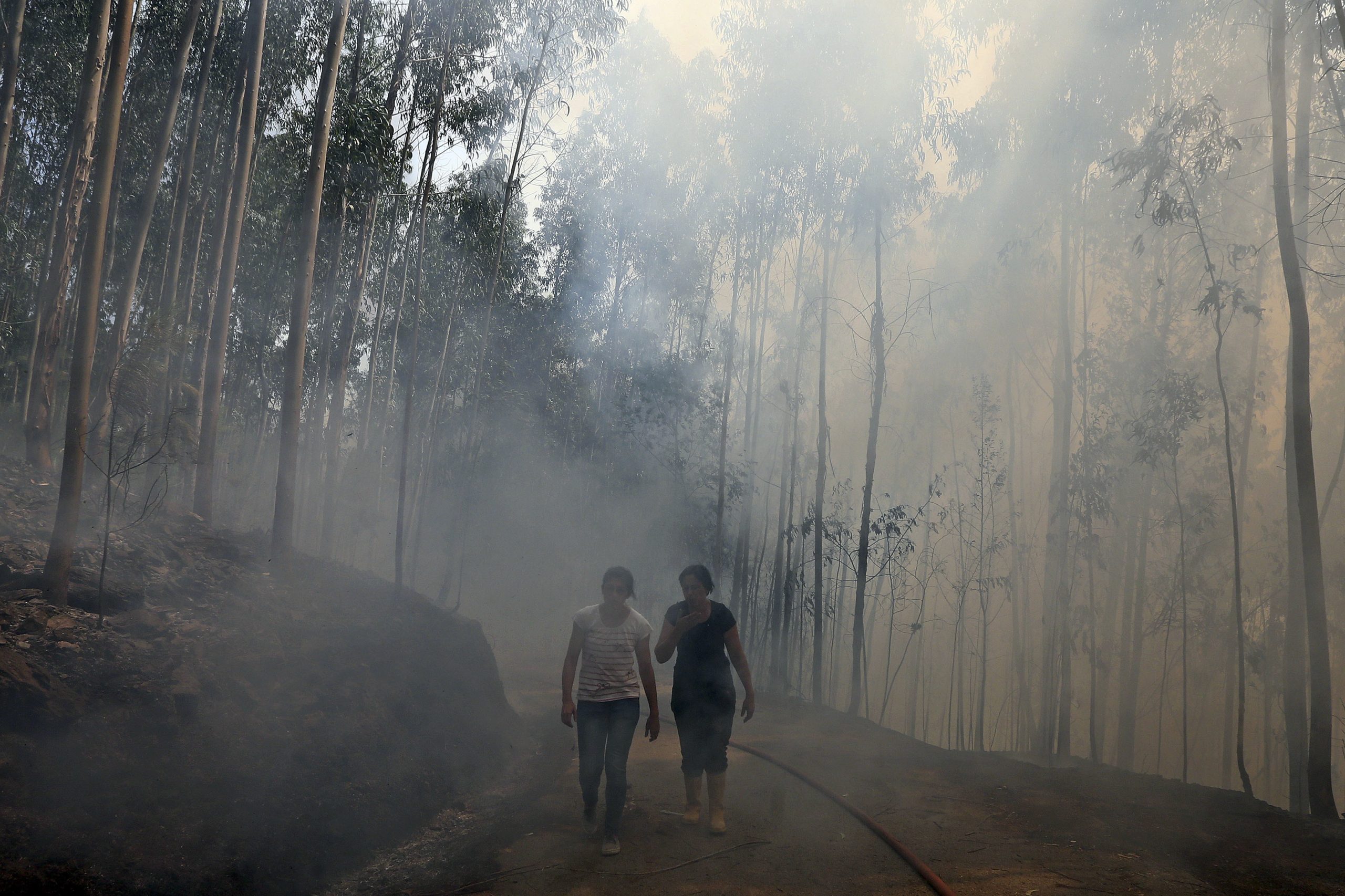 GNR detém em Águeda suposto incendiário retido por populares