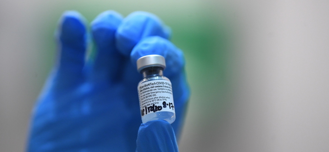 Covid-19: Misericórdia do Porto disponibiliza imóveis e profissionais para vacinação