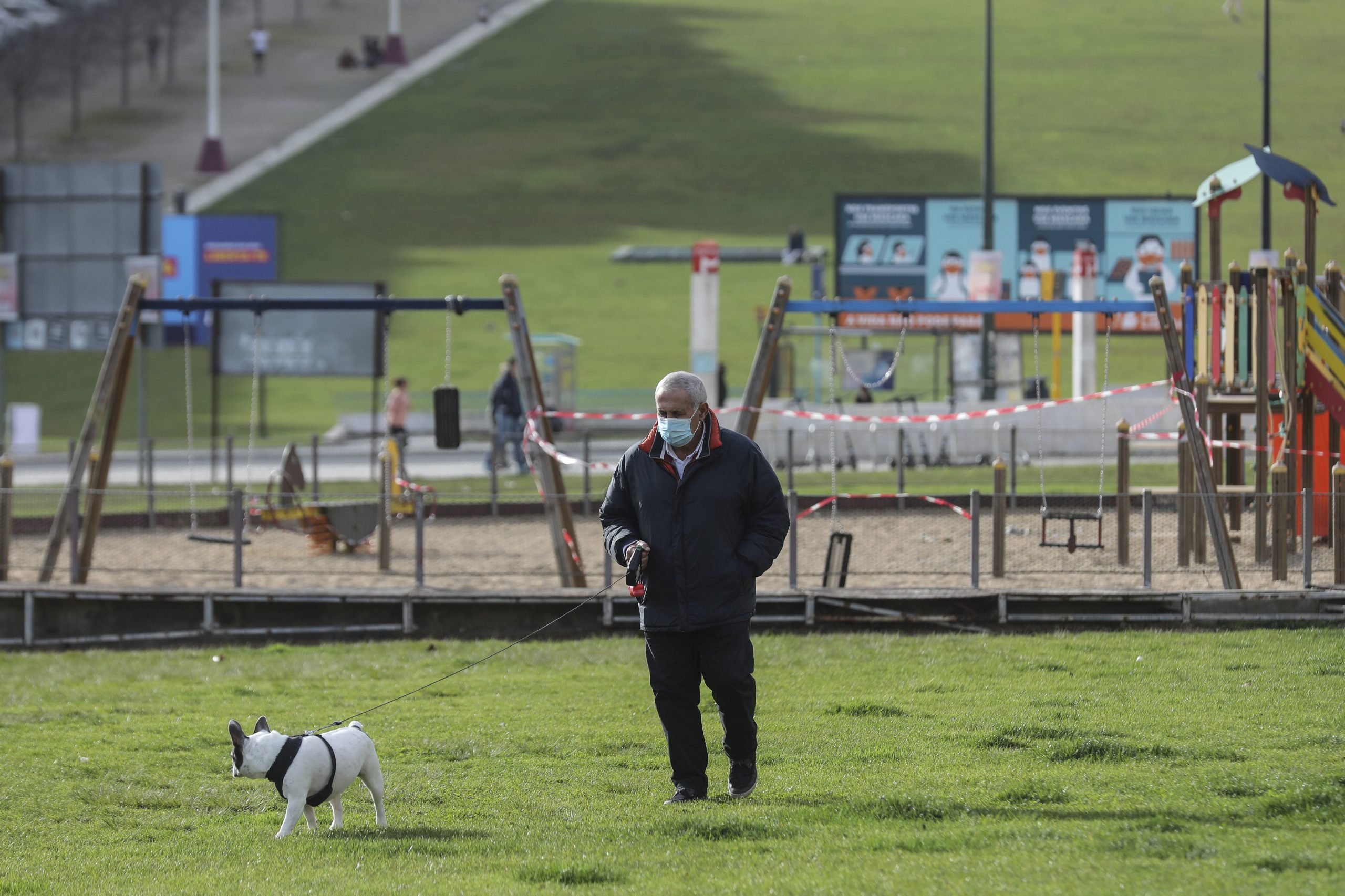 Portugal tem 3,1 milhões de animais de companhia registados