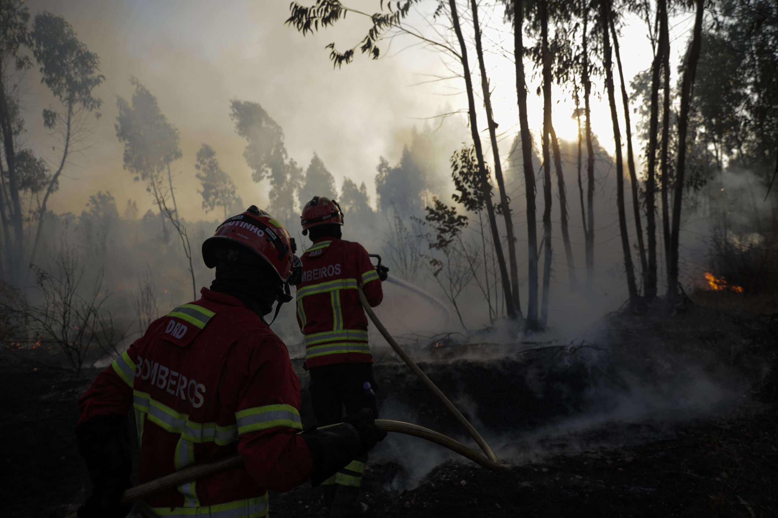 Fogo de Vila Pouca de Aguiar tem uma frente ativa que lavra com intensidade