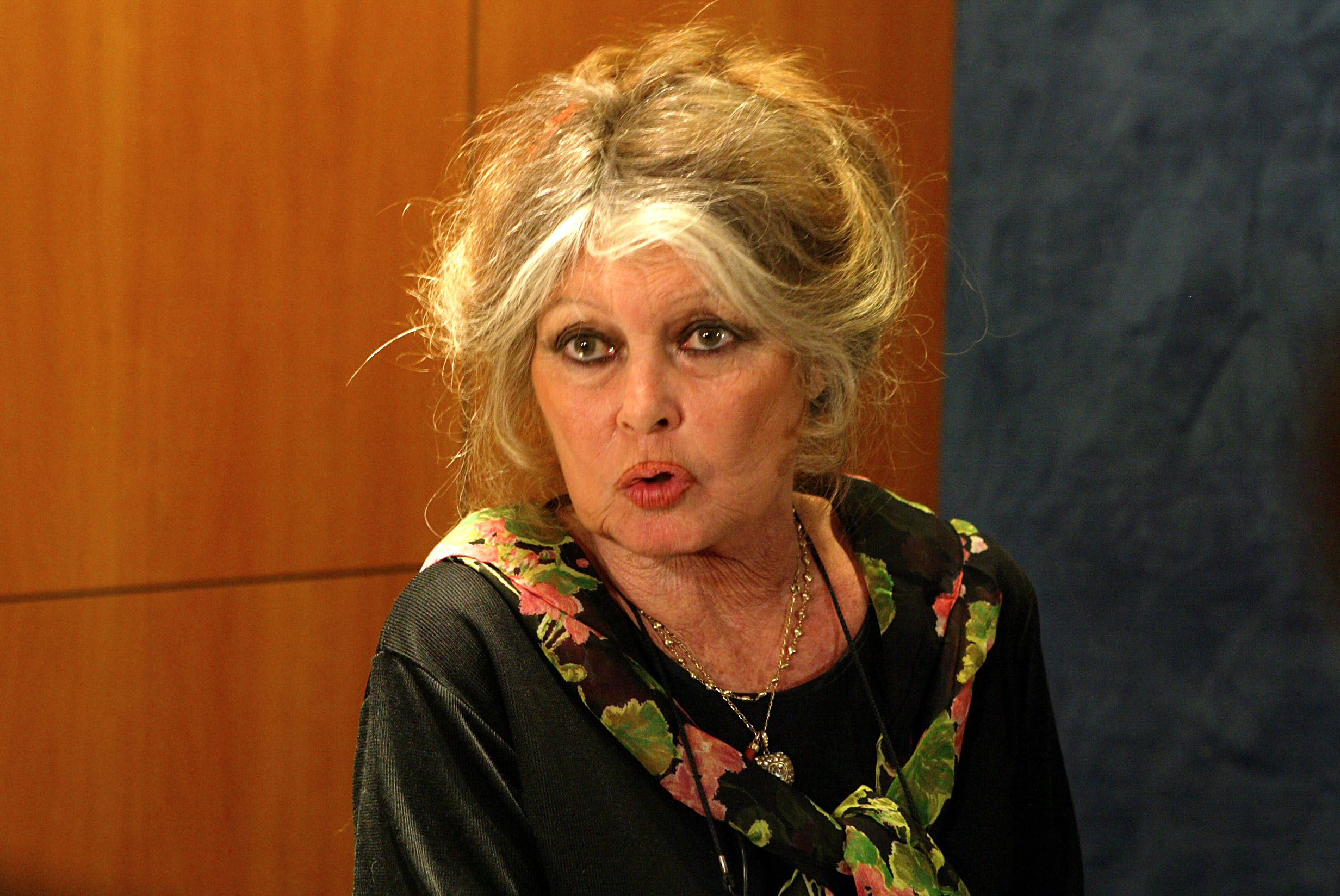 Brigitte Bardot condenada a pagar 20 mil euros por insultos racistas