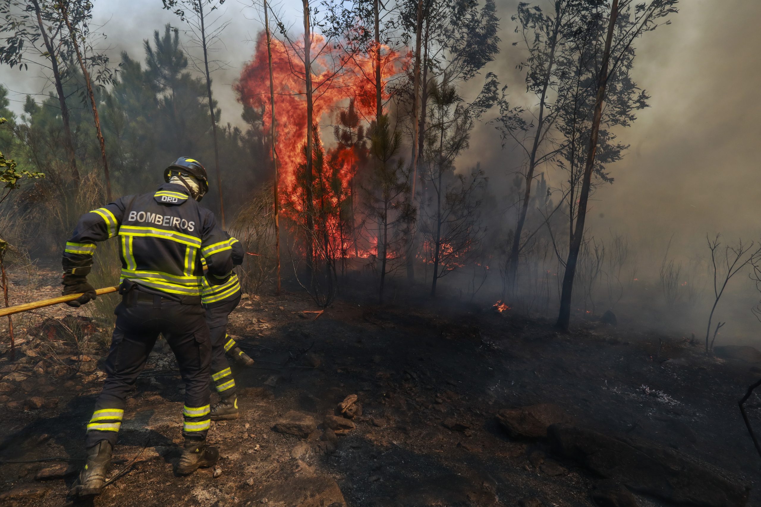 Homem de 67 anos detido por incêndio em Murça