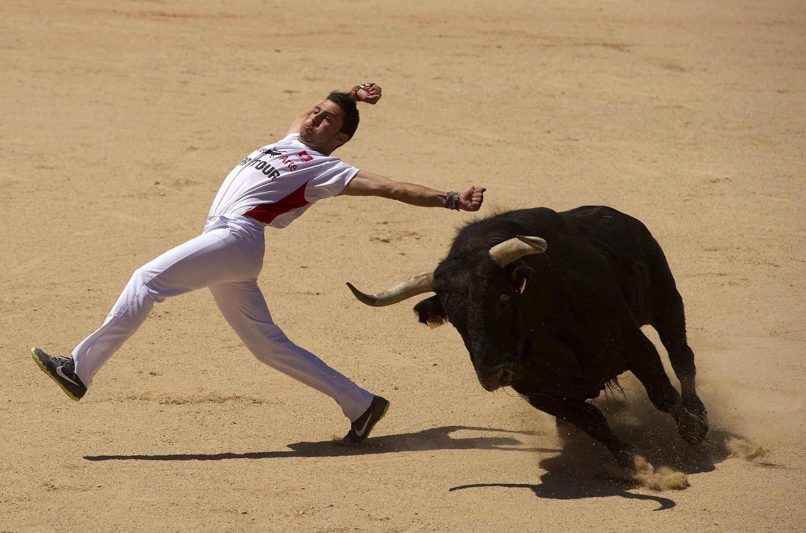 PAN questiona legalidade de corrida de touros sem médico assistente