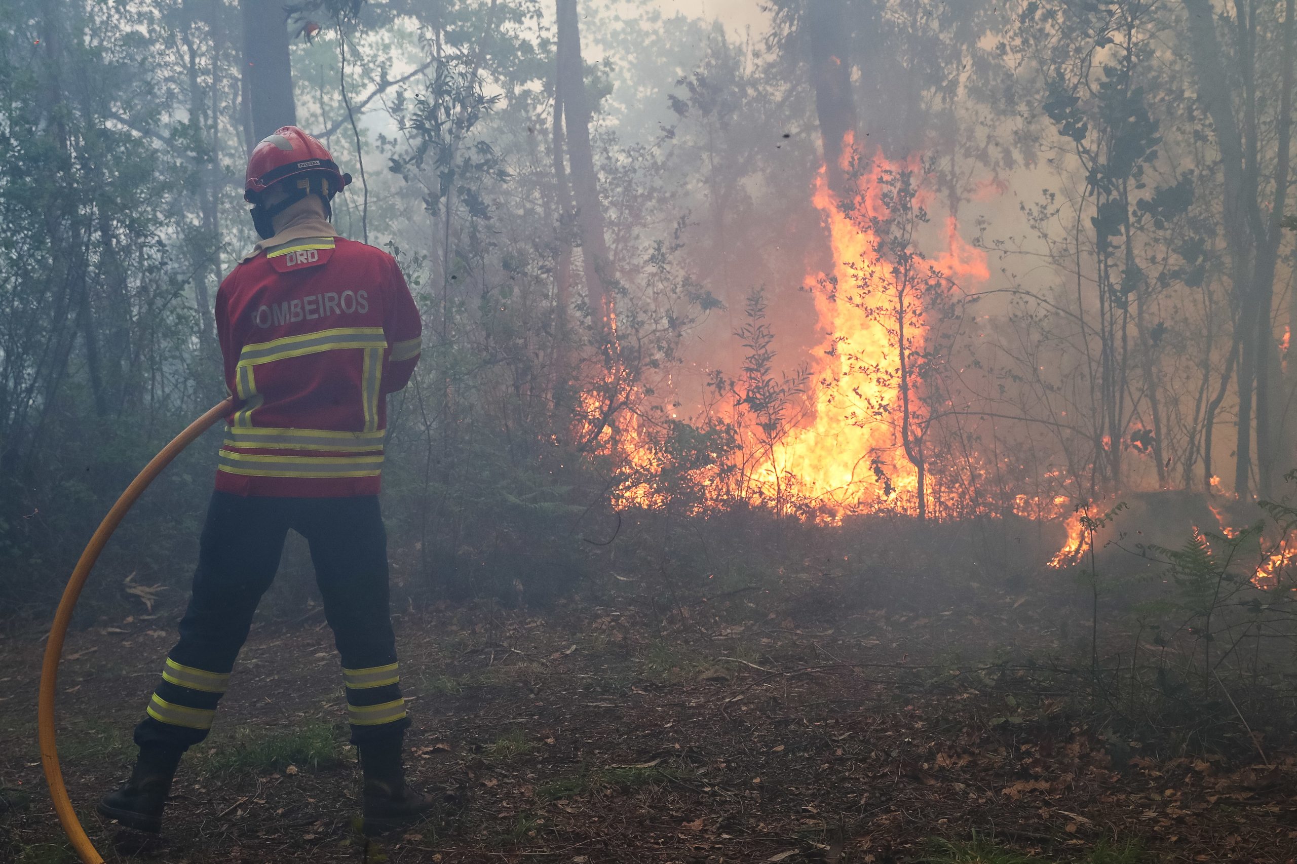 Incêndios: Dominado fogo em Azeméis que chegou a envolver mais de 400 operacionais