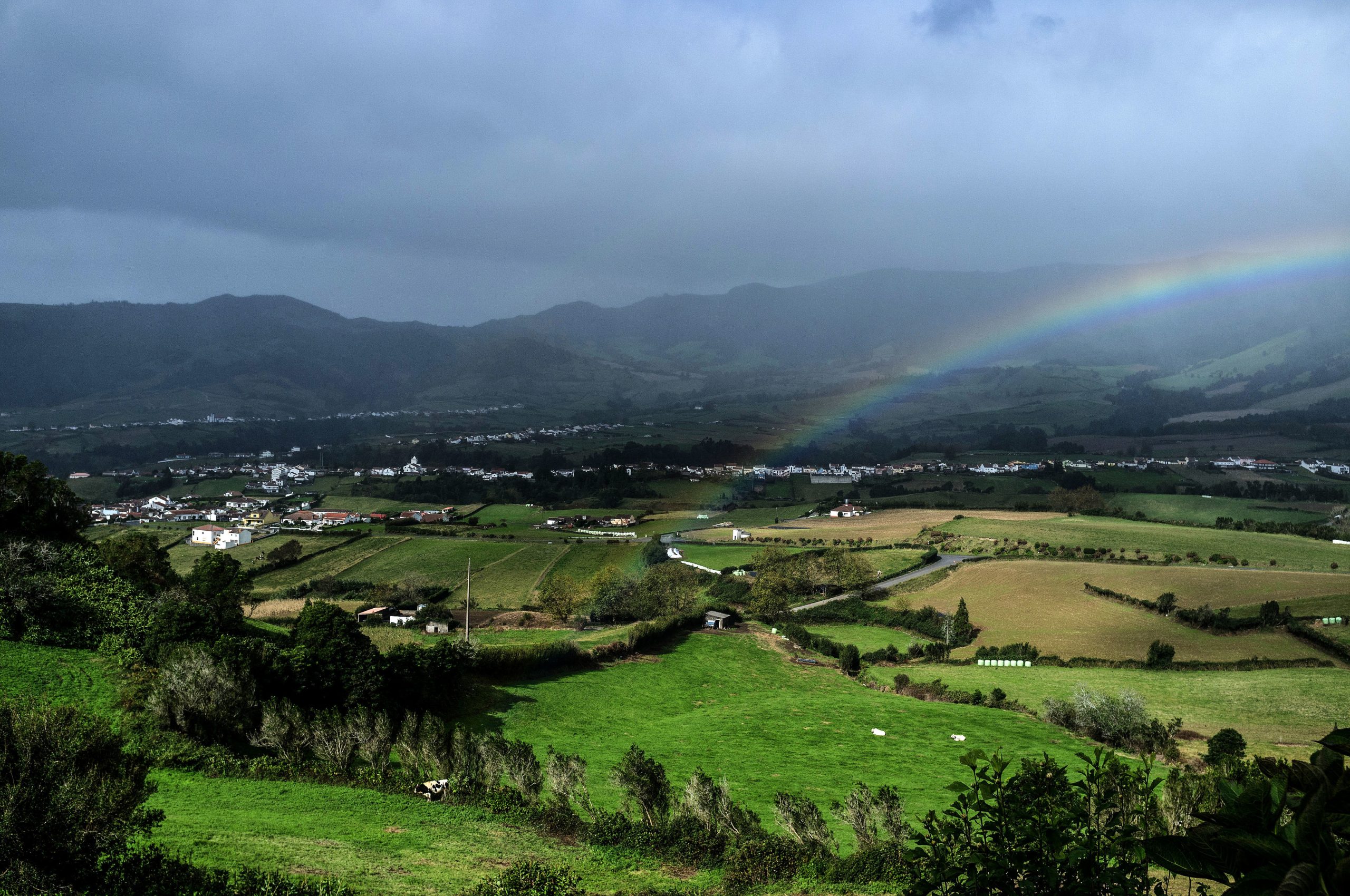 Covid-19: Açores registam primeira morte