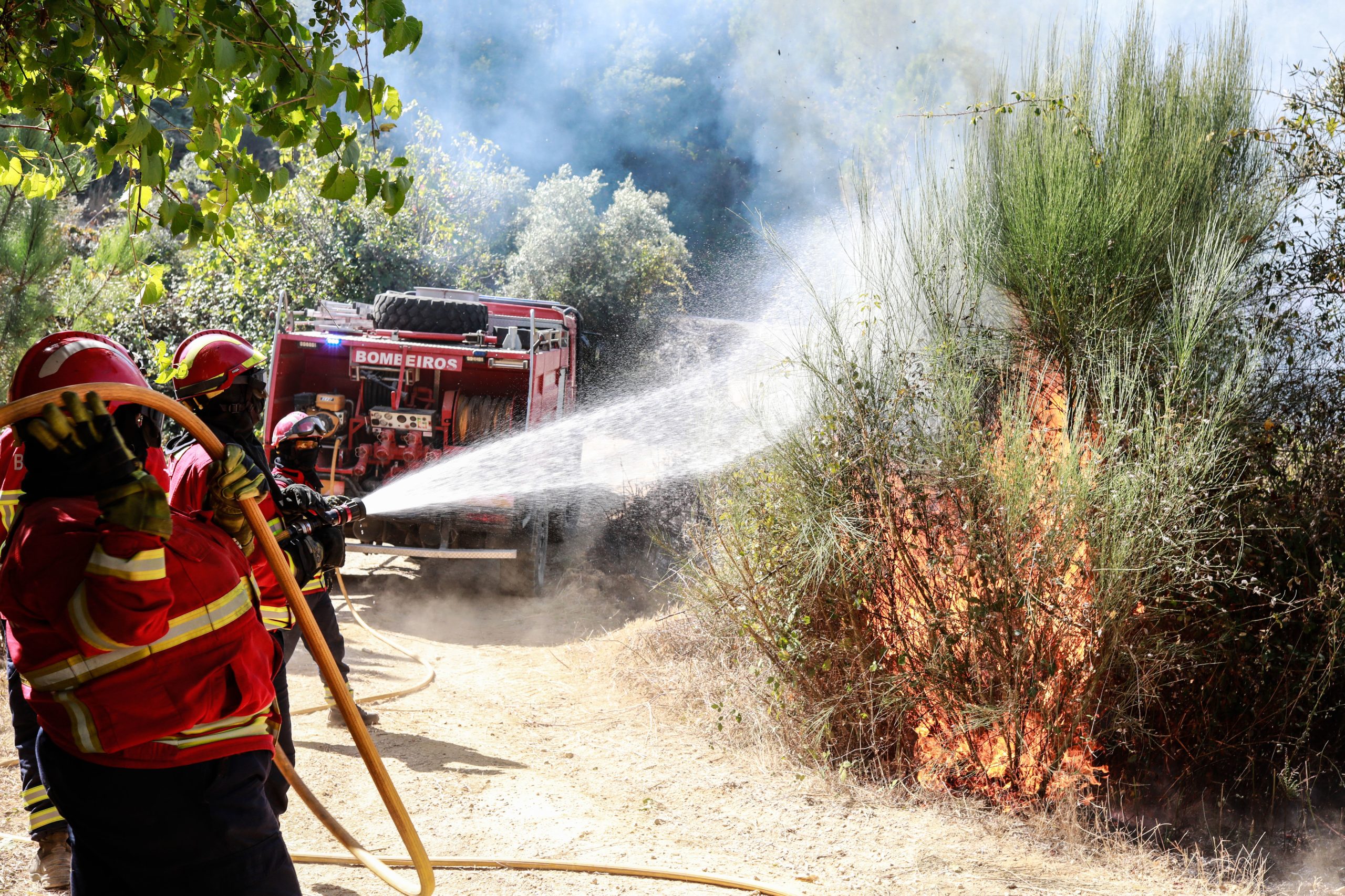 Incêndios: Três fogos em Sever do Vouga e em Fafe eram os mais preocupantes às 11:00