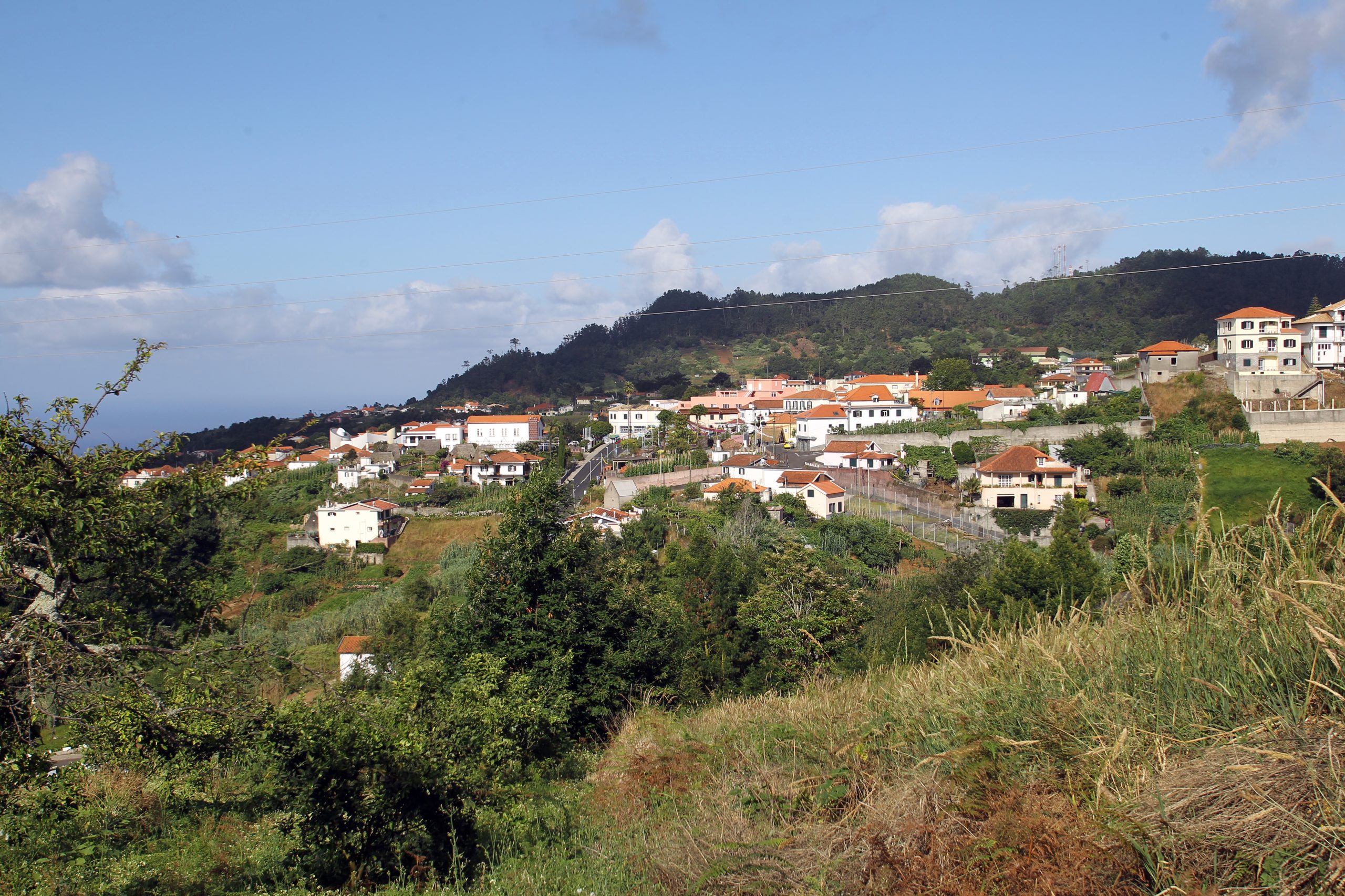 PJ investiga ossadas encontradas em Santana na Madeira